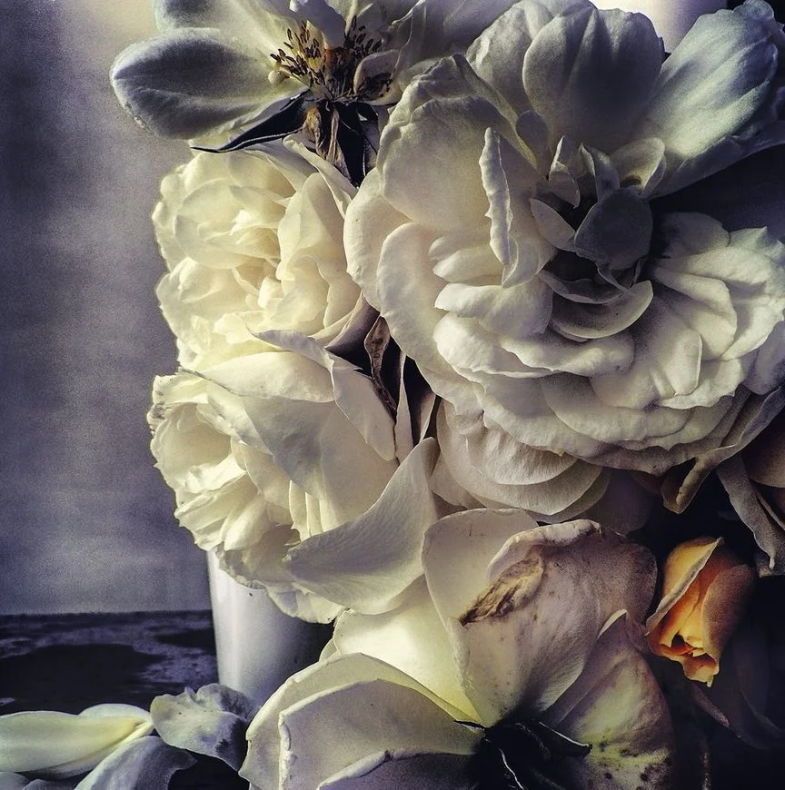 Les Roses au Smartphone de Nick Knight