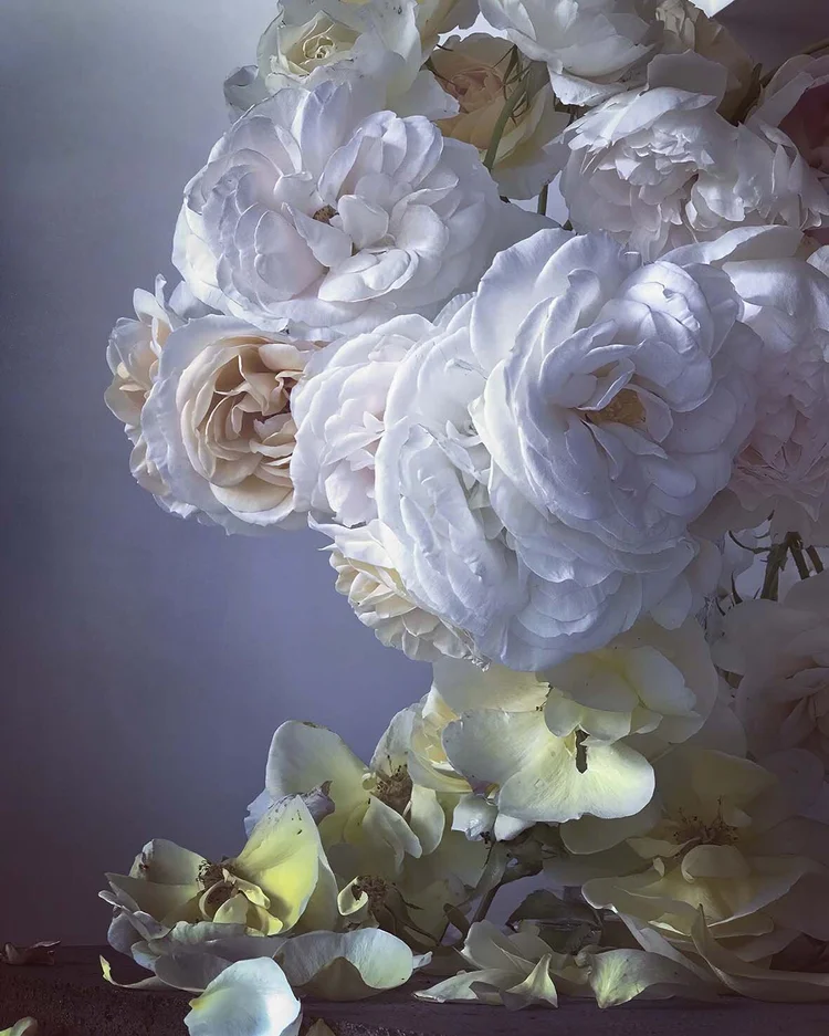 Nick Knight