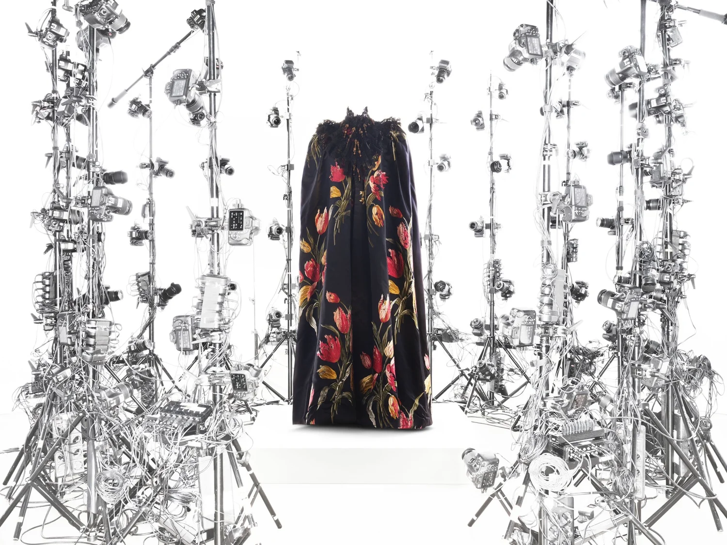 Creative Consultancy — Nick Knight