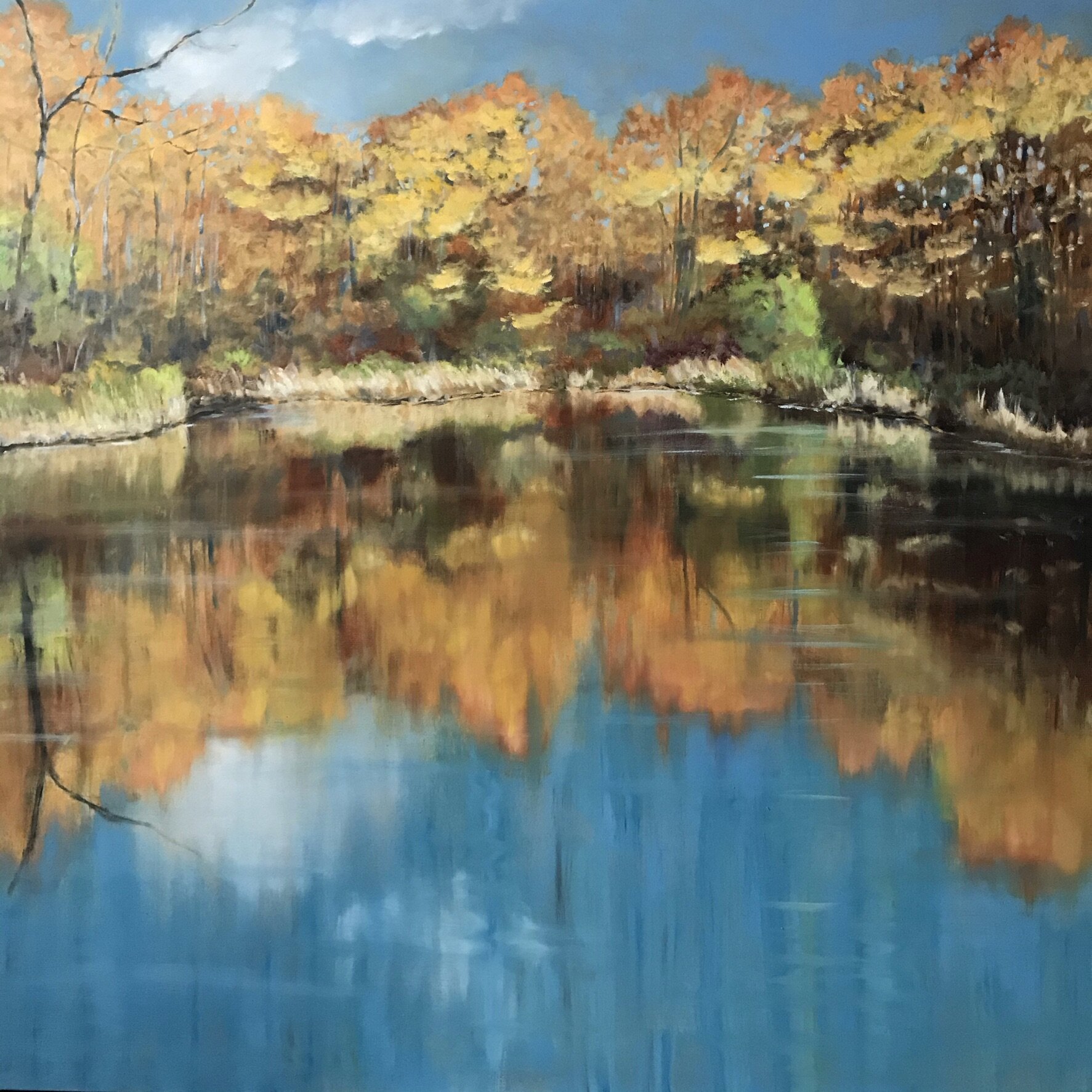 So Pretty Pond