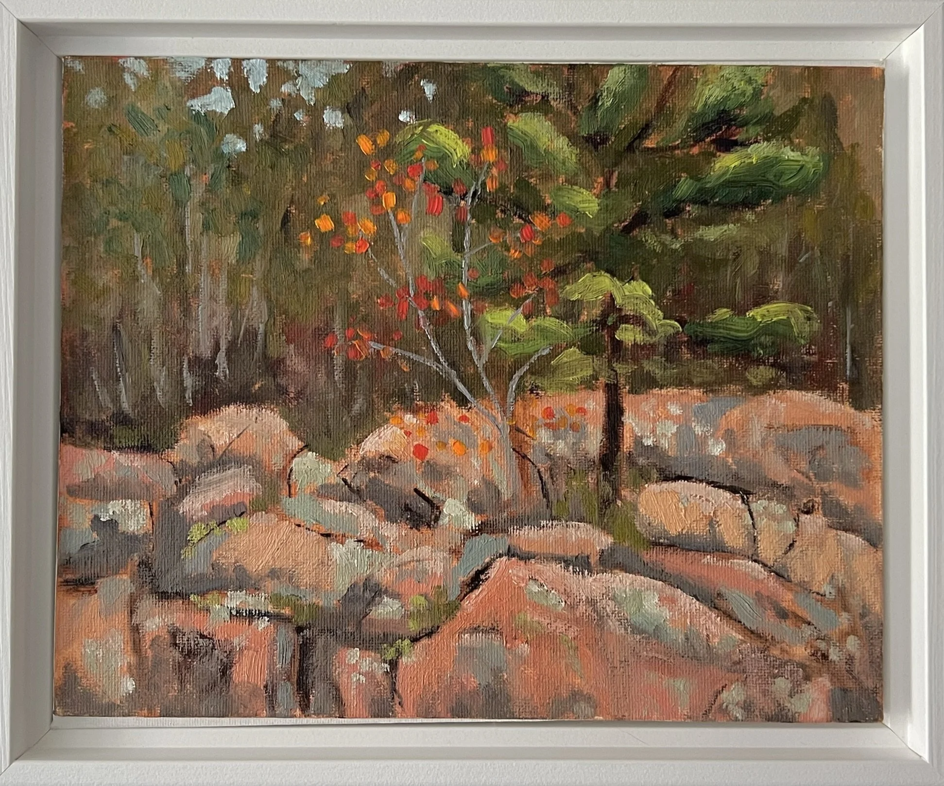 Killarney, Rocky Woods