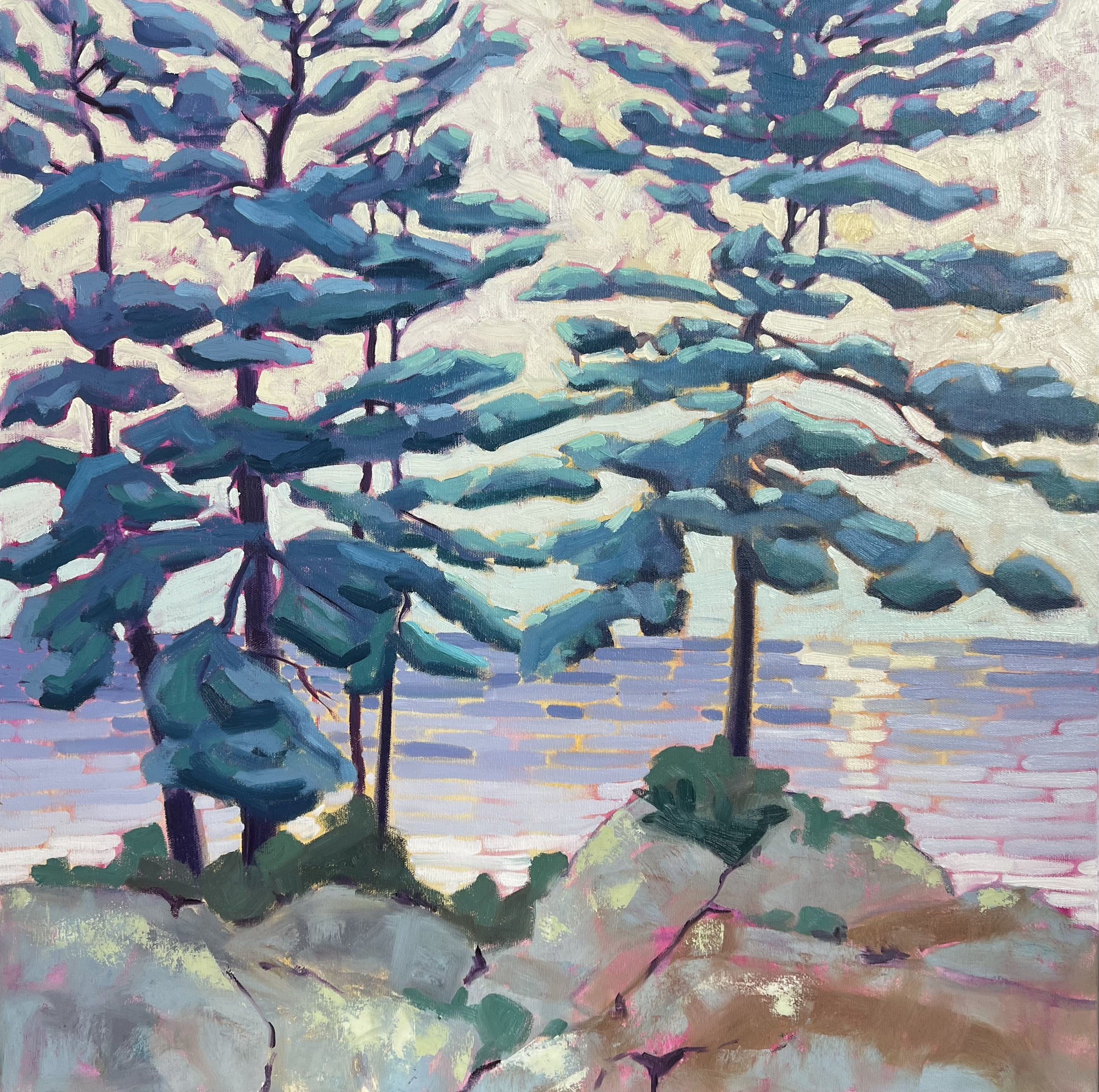 Rocks, Pines, Water