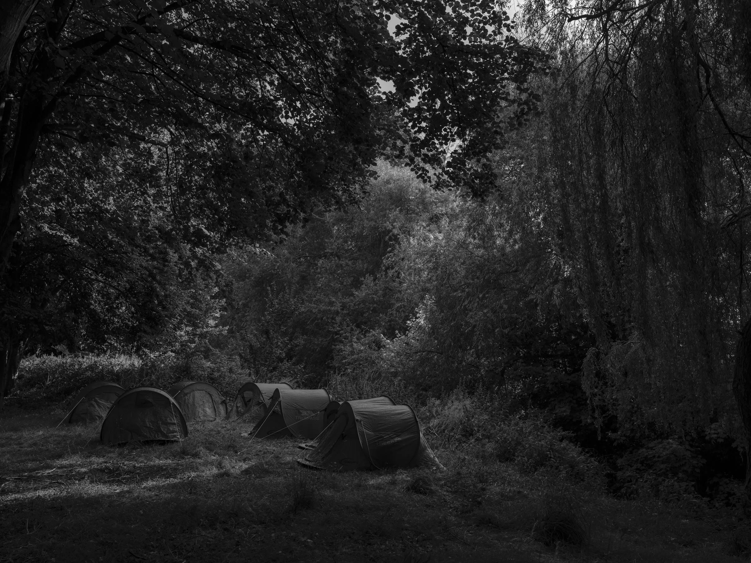 Winner of the Taylor Wessing Irish Photo Prize 2026.