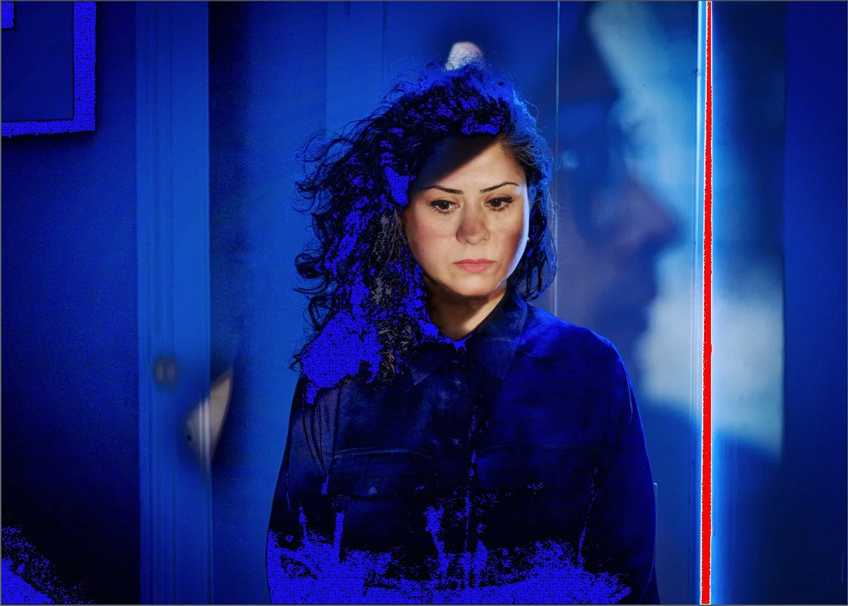 Atoosa Pour Hosseini, Artist & Filmmaker