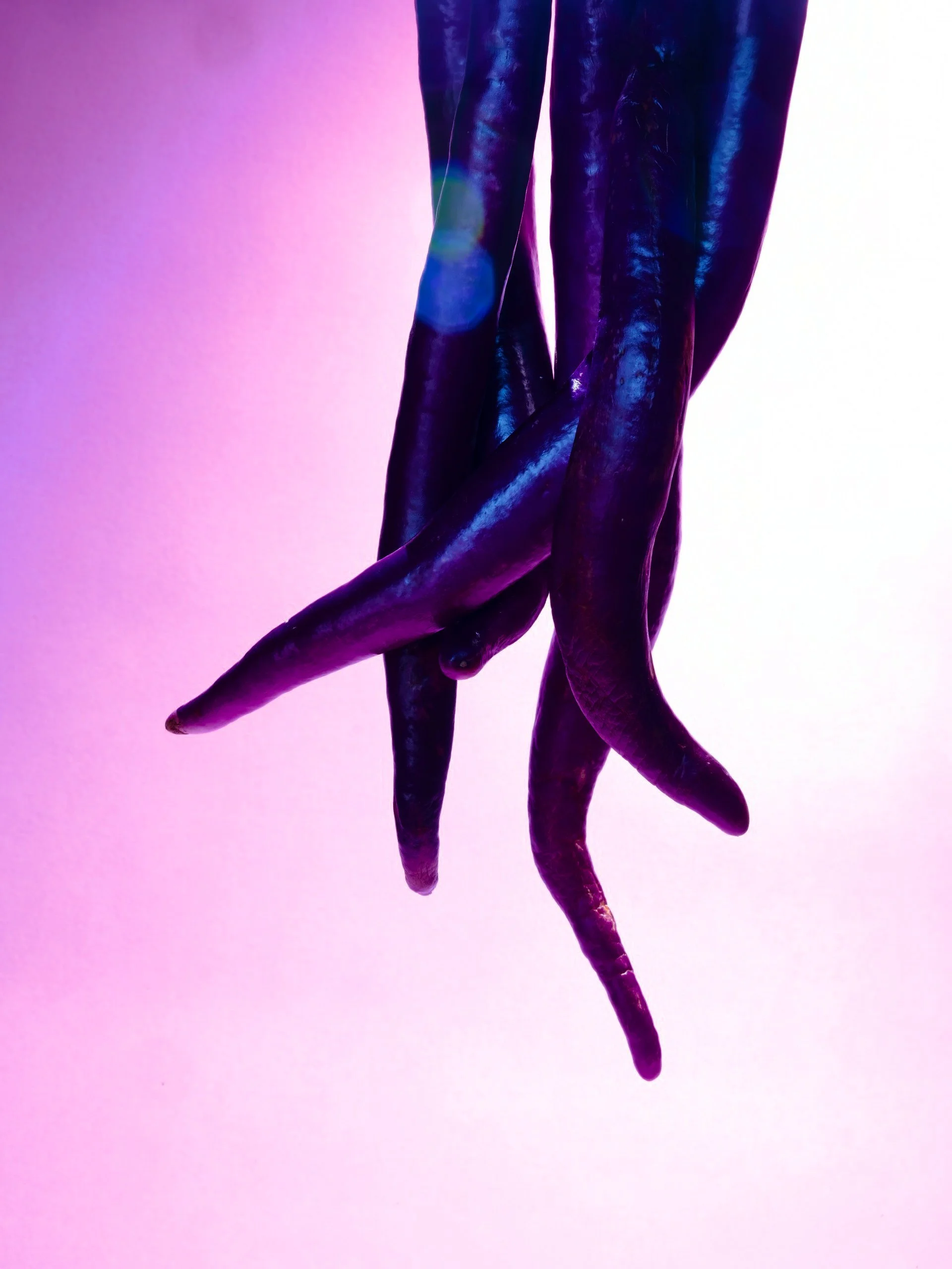 Long Aubergines 2, 2024