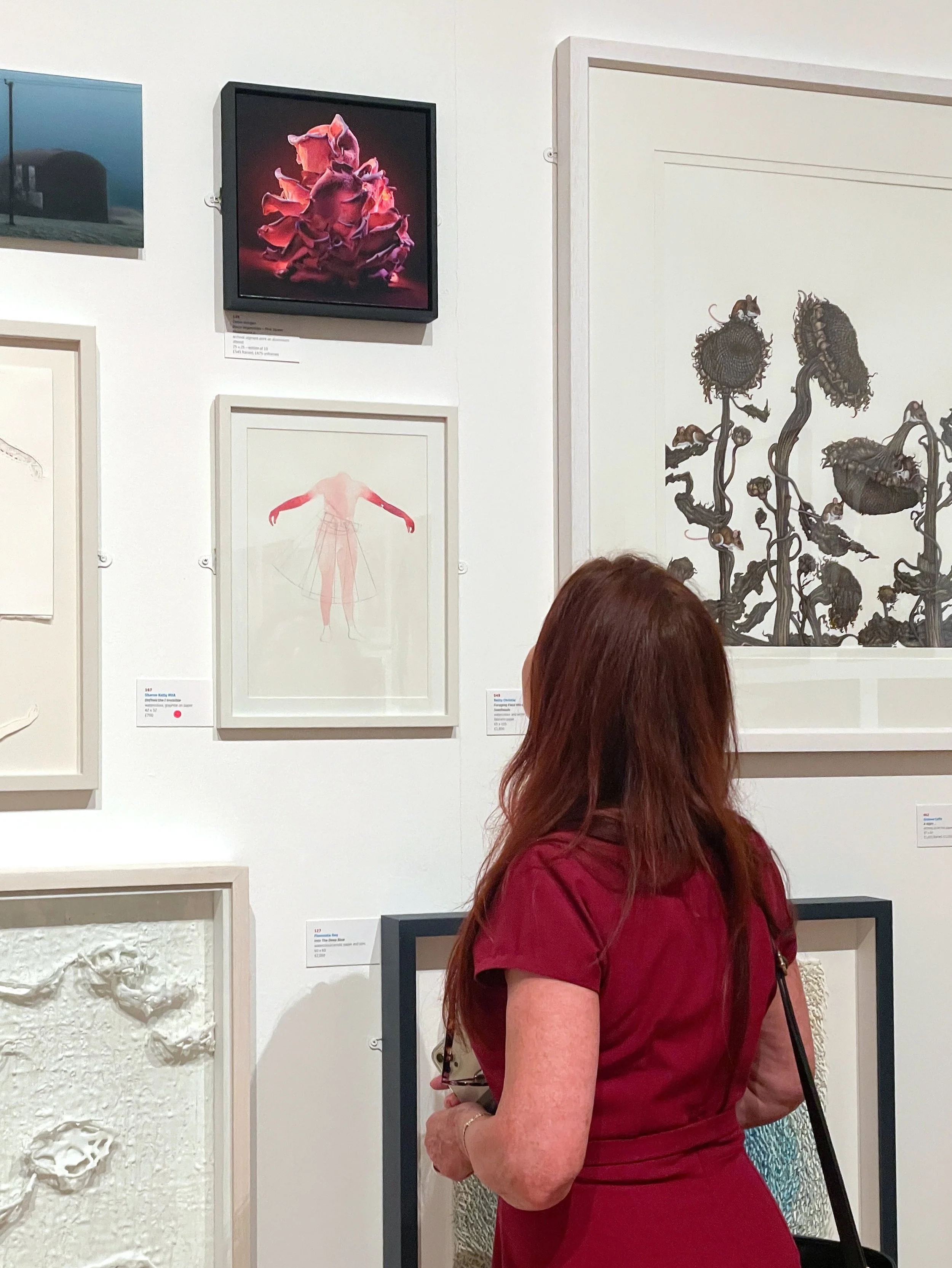  Disco Vegetables- Pink Oyster Mushrooms on show at the opening of the Royal Ulster Academy of Art‘s 144th Annual Exhibition. 