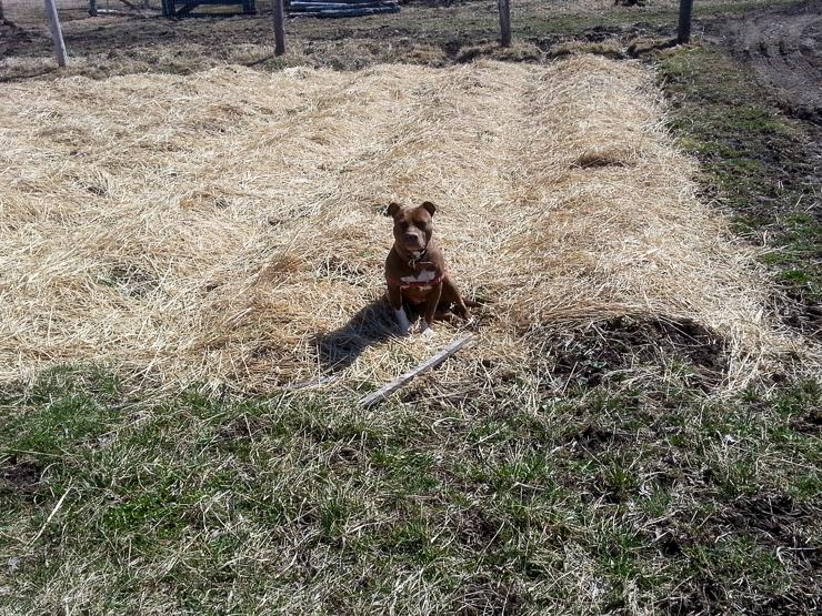 Our Project Foreman, Remy