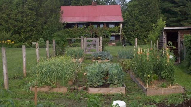 blog_Front_Garden_640.jpg