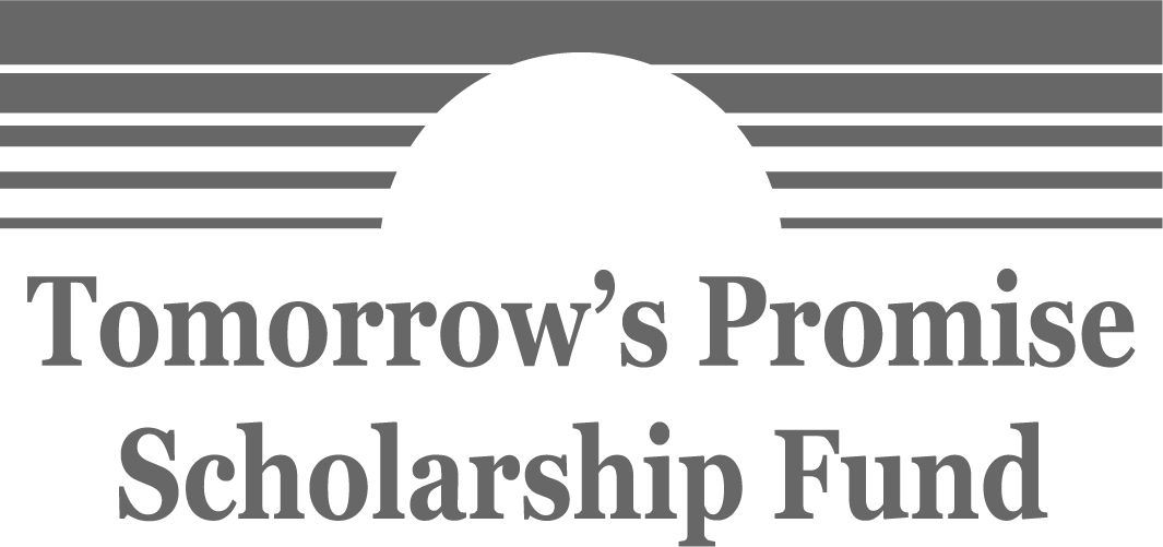 -mainScholar-logo.png