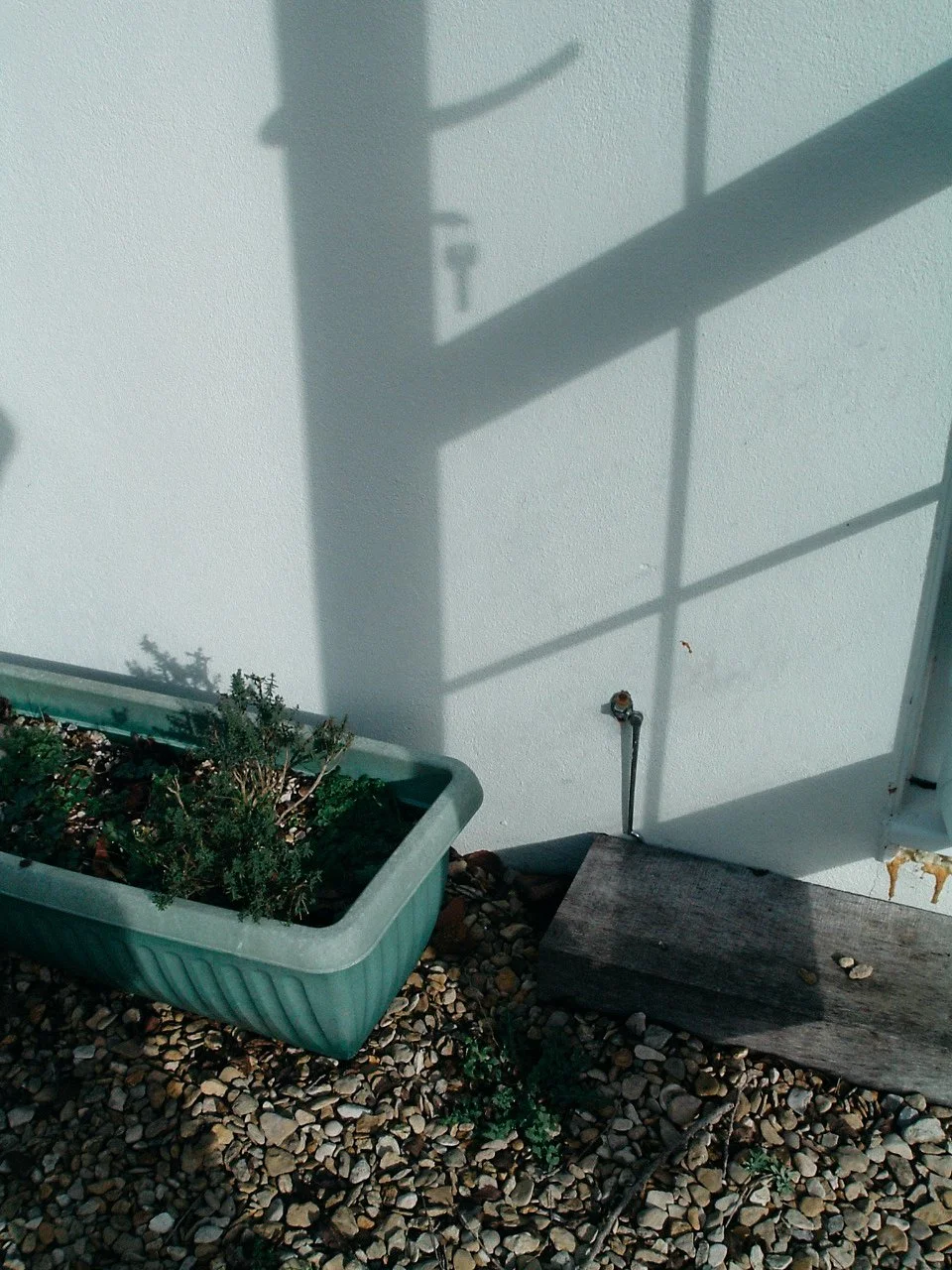 A green rectangular flower pot with plants, a weathered wooden board, a white wall with an outdoor faucet and pipe, and gravel ground with some small plants.