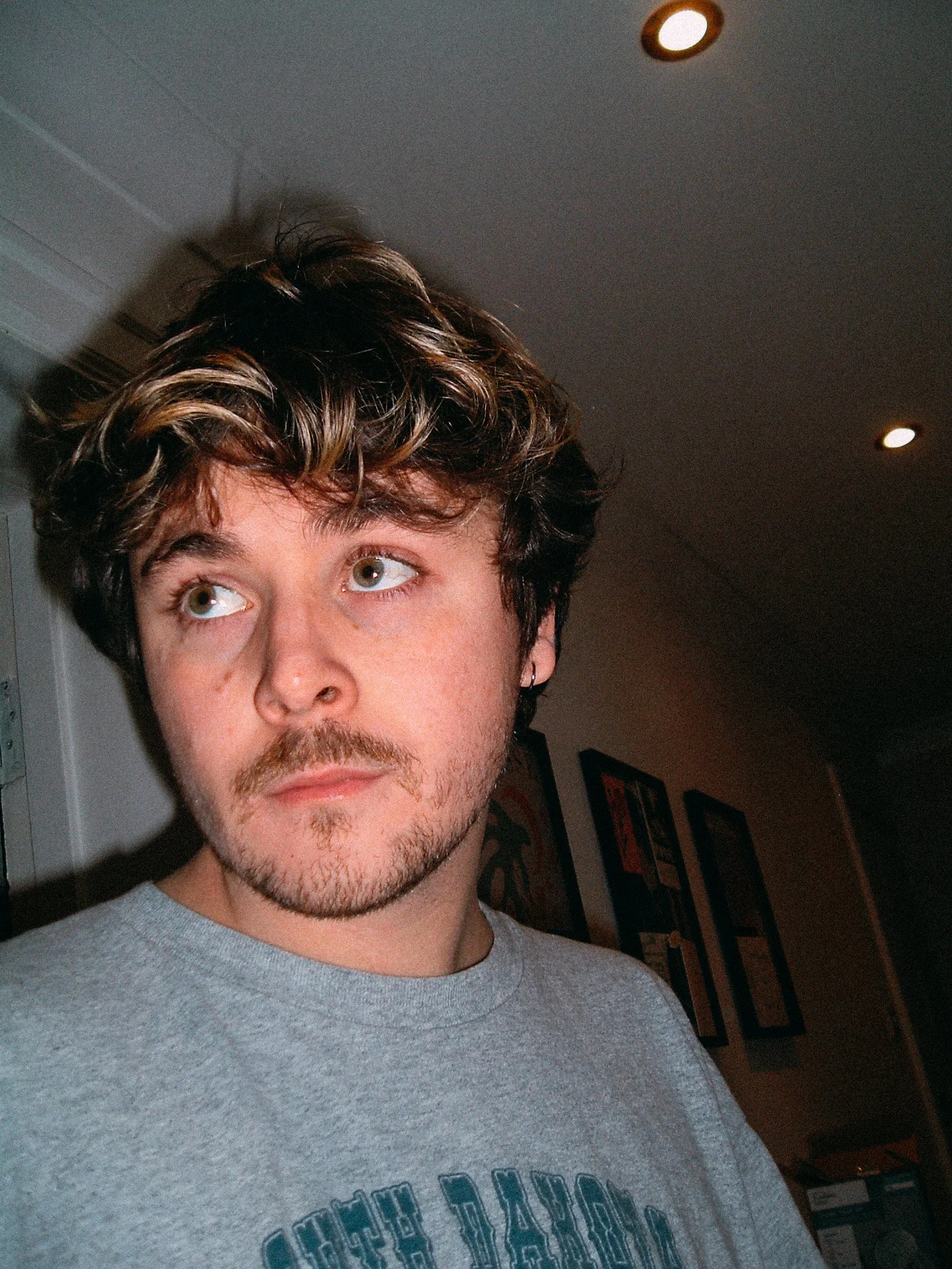 A young man with wavy brown hair and a beard, wearing a gray T-shirt, looking to the side. The background features framed artwork on the wall and ceiling lights.