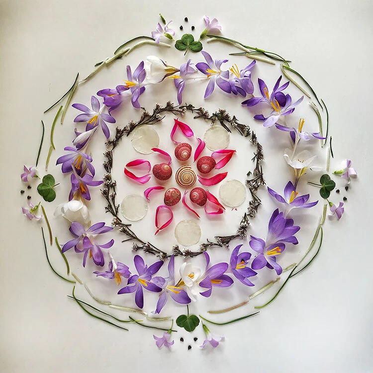 FMS 0343-4713 Spring Emerges 5x5 150dpi.jpg