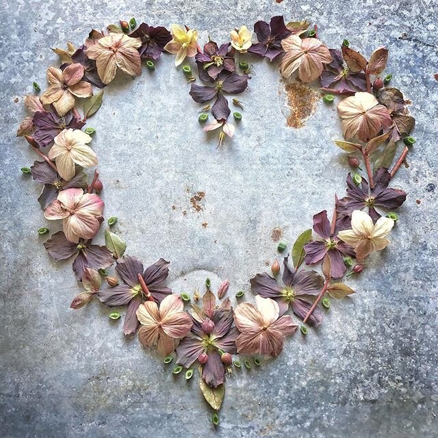 A Heart Mandala of Purple: Color of the Crown Chakra. BEAUTY, CREATIVITY, INSPIRATION. That&rsquo;s what I&rsquo;m seeking on the pandemic ride. What about you?
.
.
#chakras #crownchakra #purplechakra #sahasrarachakra #Creative_florals
#hearts #crown