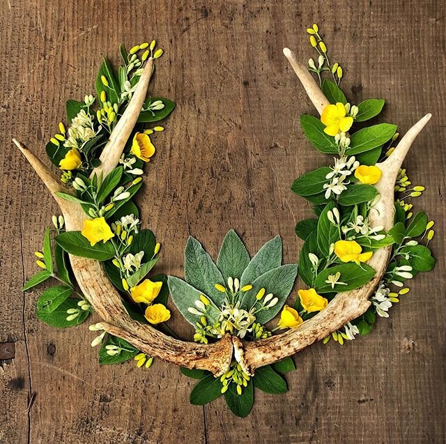 Summer Honeysuckle Antler Art. 🌼💛🐝💛🌼🍯
.
.
#honeysuckle #antlerart #eartartist #mandalatherapy #earthmandala #takearidetiverton 
#greetingcards 
#cards
#womencreating
#riarts 
#natureflatlay
#foundandforaged
#ecoart 
#ecoartist
#fireflymandalas 