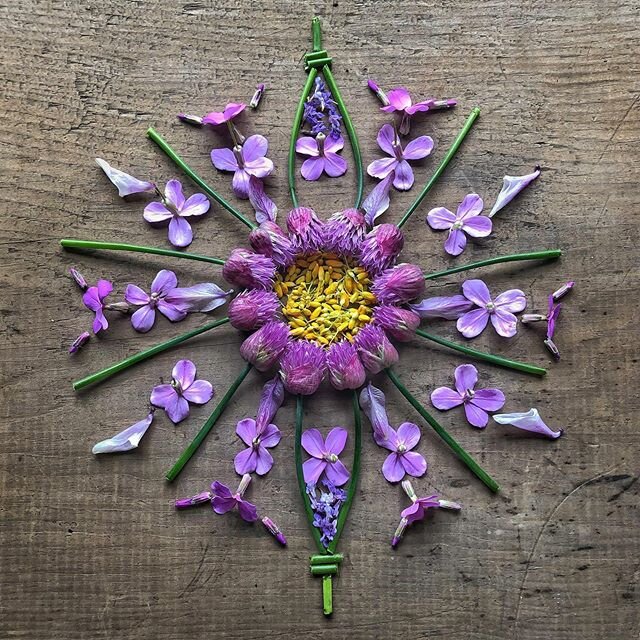 Wild phlox grows rampant in my yard. What&rsquo;s going on in your on this Memorial Day? Get outside and make mandalas in memory of our family members who served.
🇺🇸💜🇺🇸💜🇺🇸💜
.
.
#phlox #wildflowers 
#thebotanicalseries
#phloxflowers 
#takeari