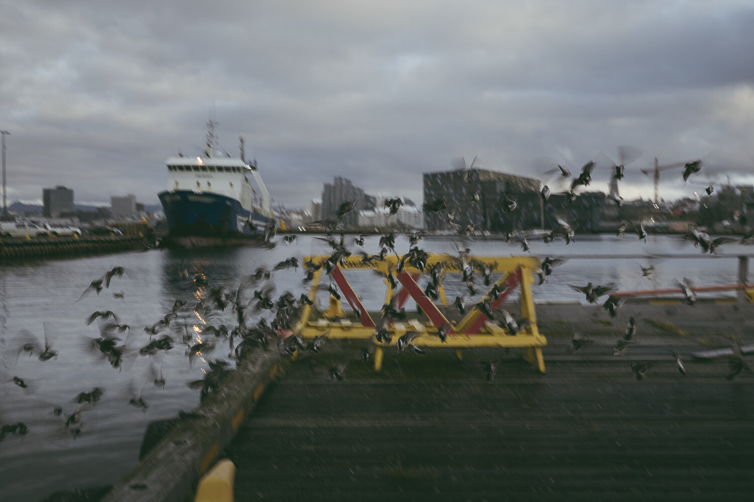 rvk-006.jpg