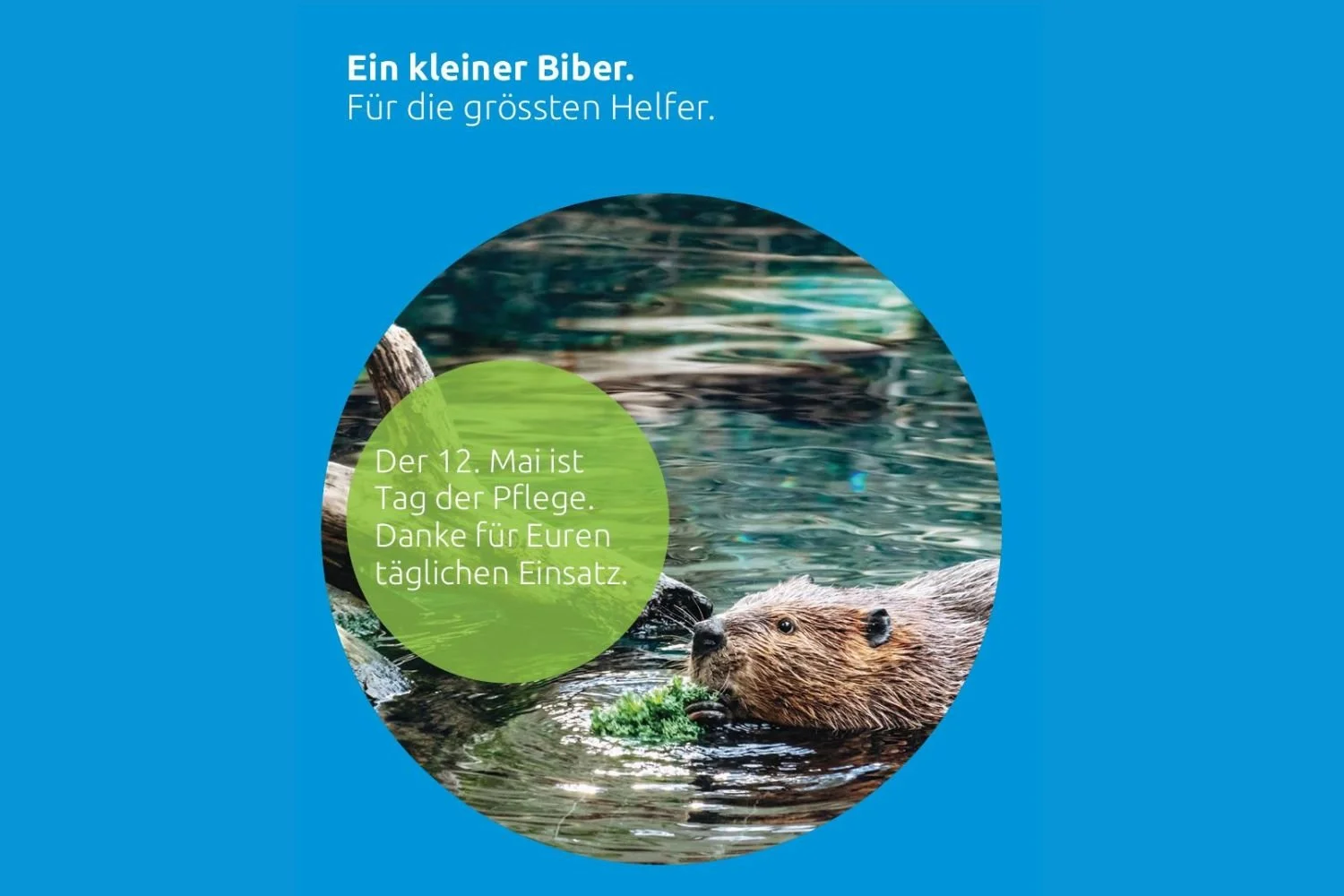 Tag der Pflege - 12. Mai 2026