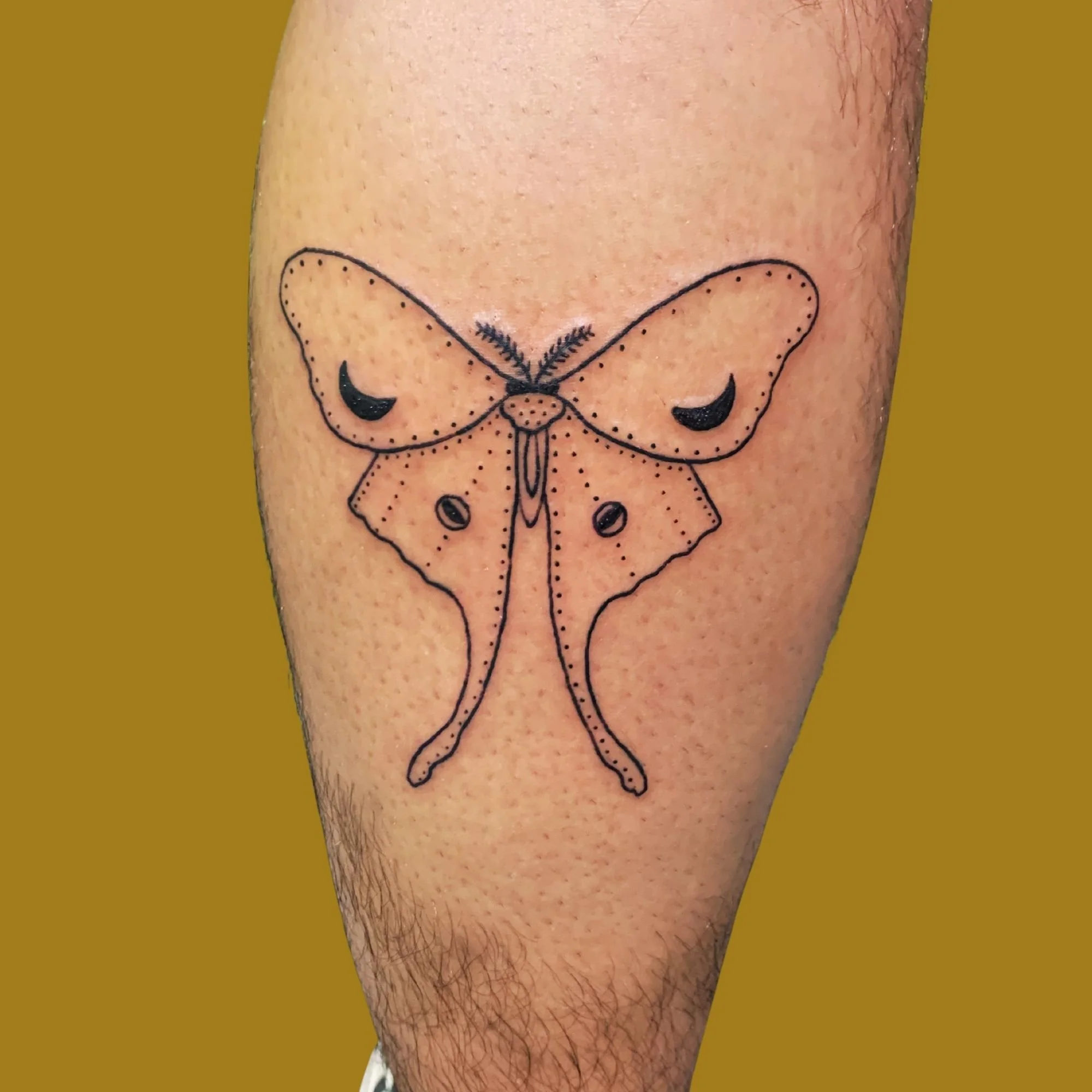 Tattoo Gallery Images (5).jpg