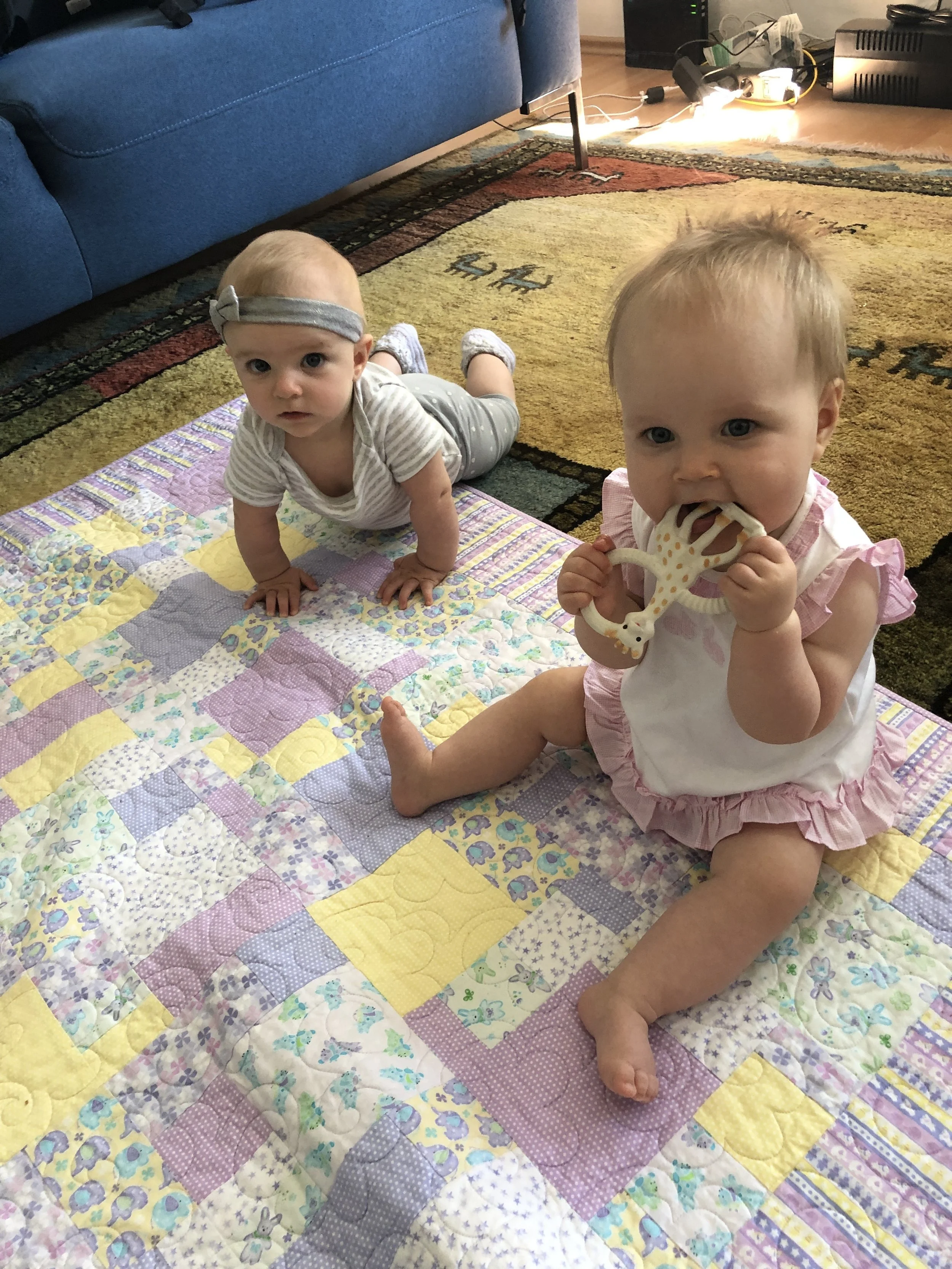 Making new baby friends