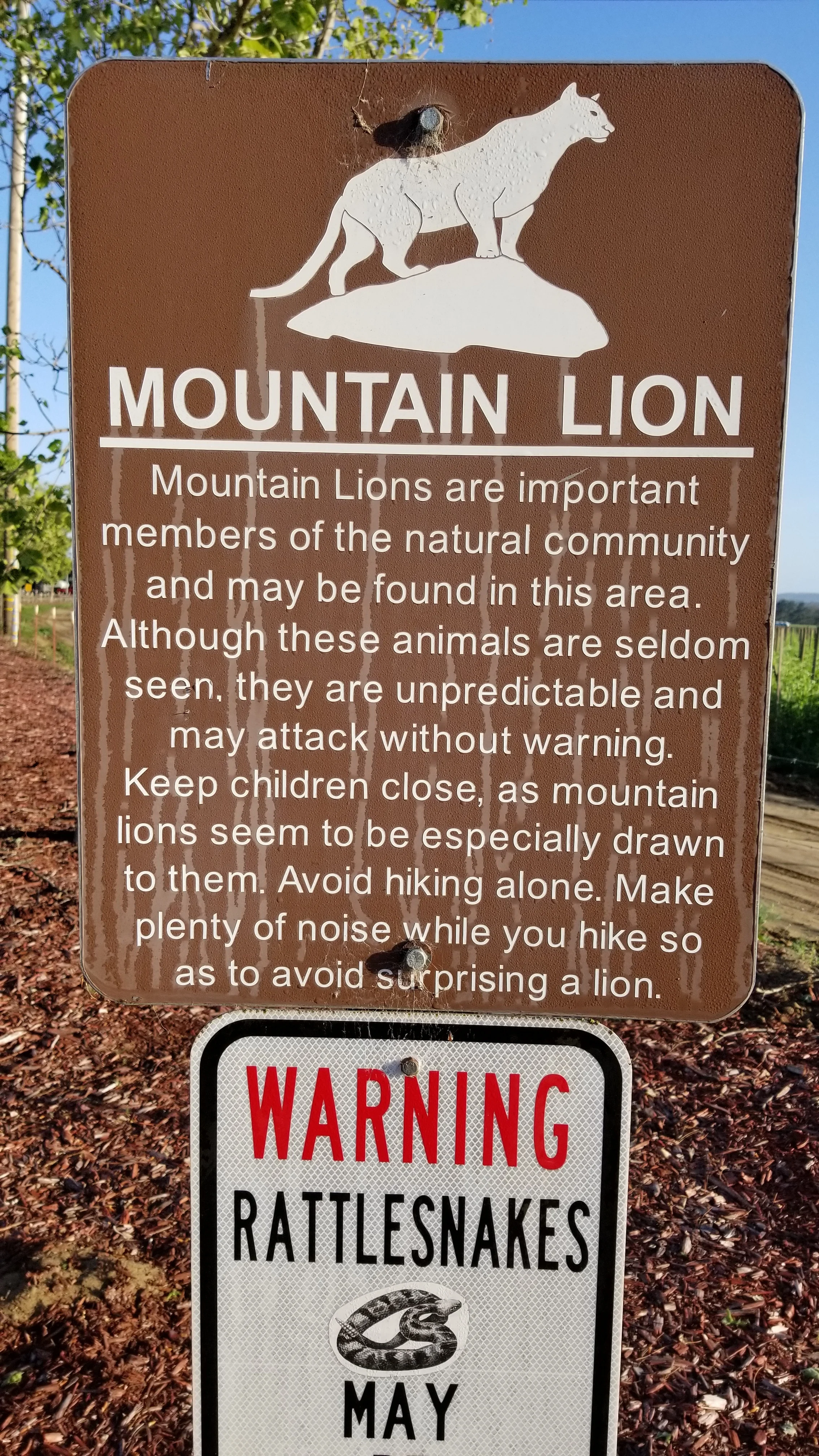 2019-05-17 07.14.09-1.jpg