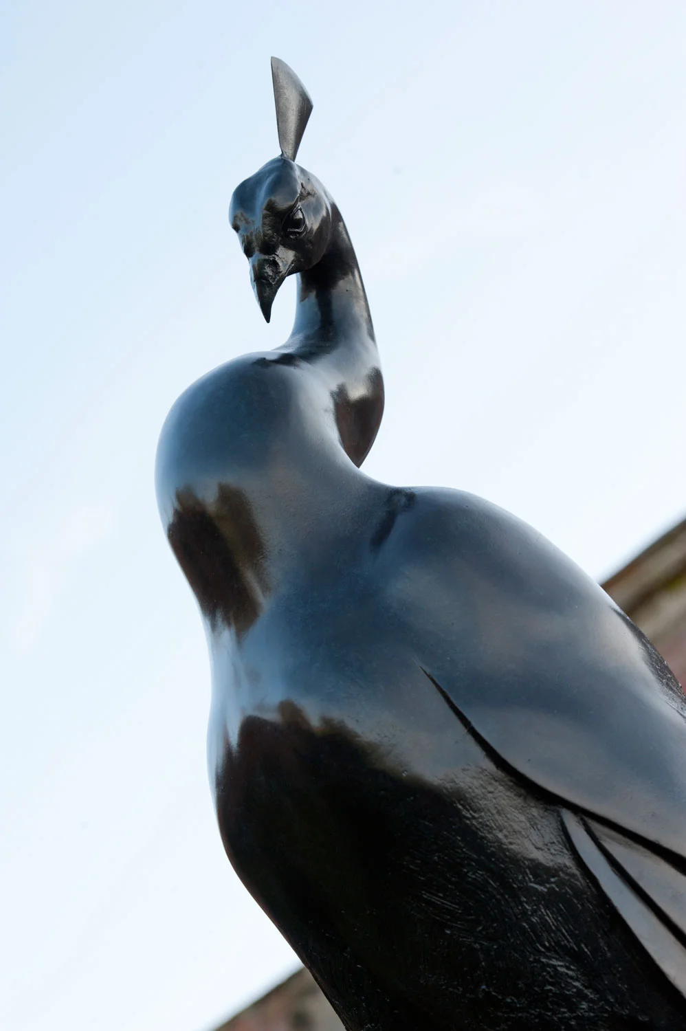 gillick-peacock-lifesize-bronze-sculpture-on-plinth-body-below-web.jpg