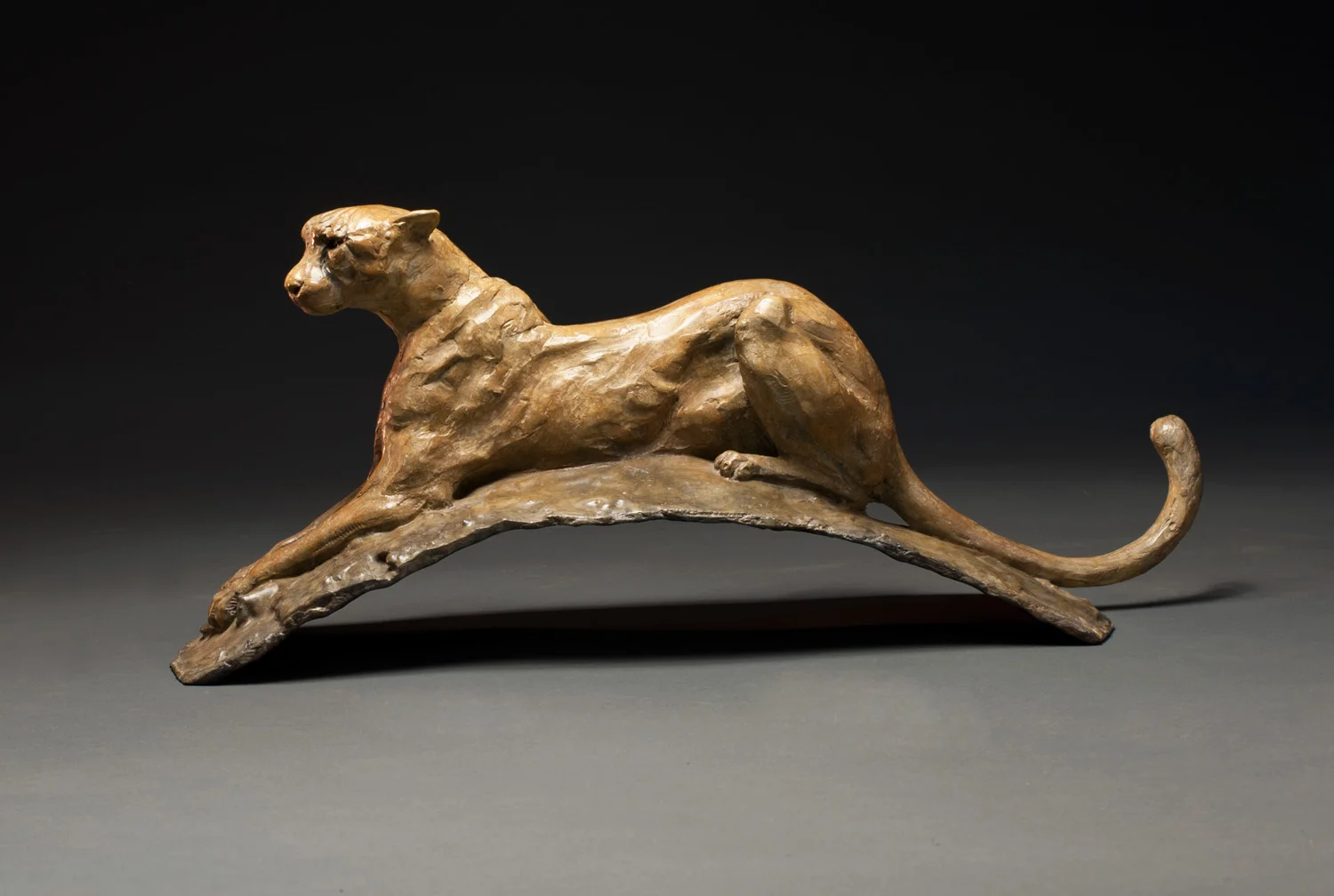 gillick-cheetah-on-lookout-I-bronze-sculpture-side1-web.jpg