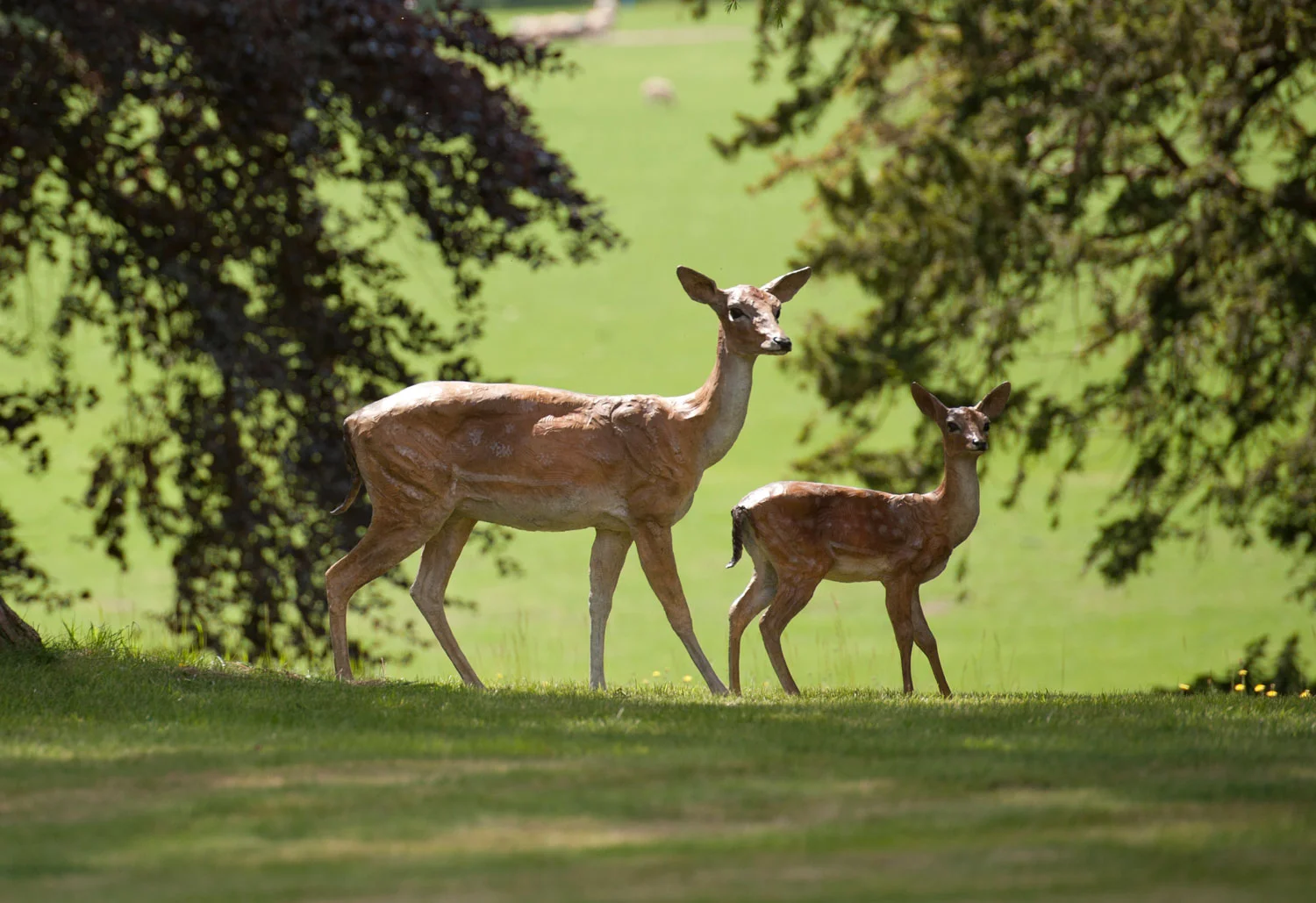 gillick-fallow-doe-fawn-drop-behind-bronze-sculpture-web.jpg