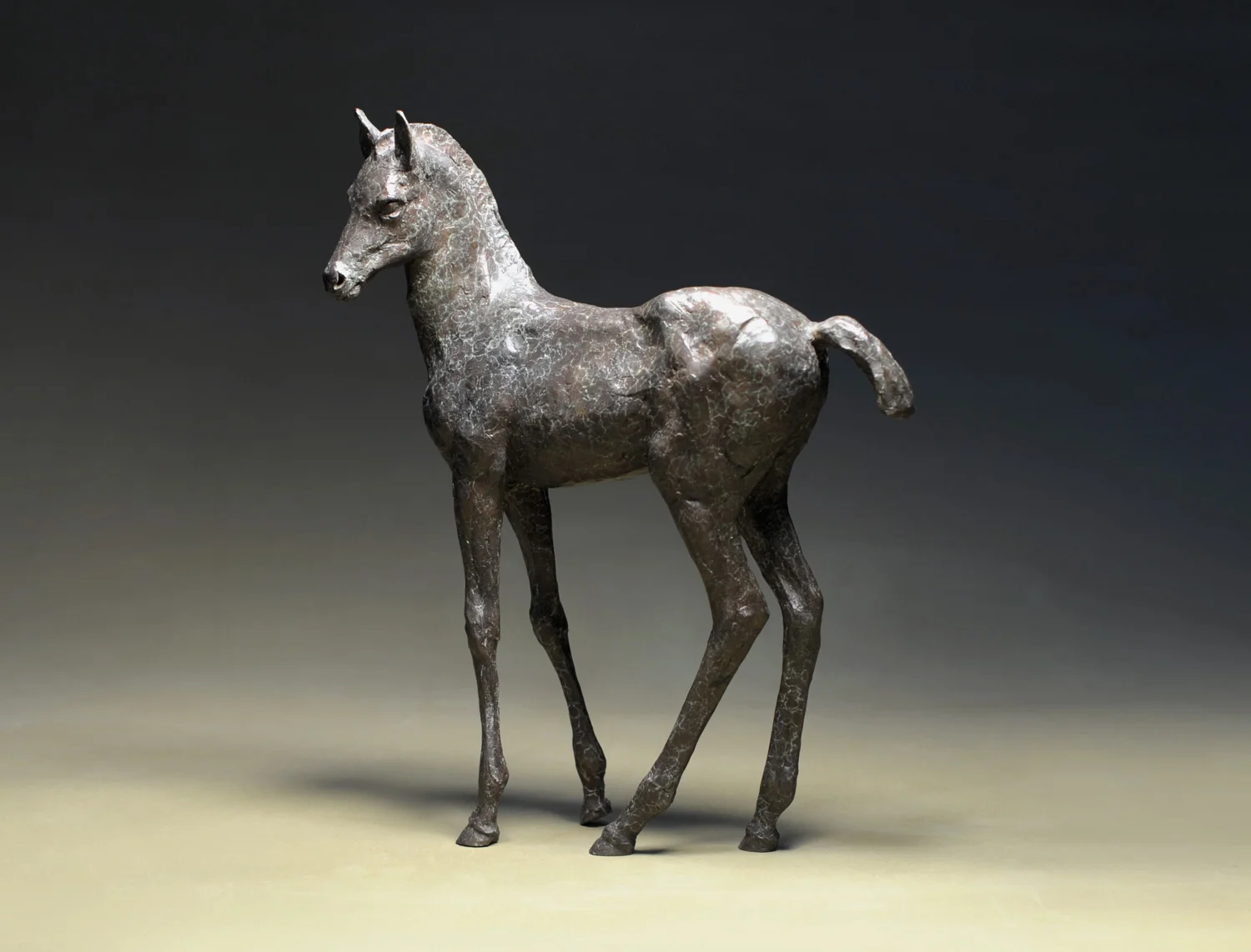 gillick-foal-bronze-sculpture-side-web.jpg