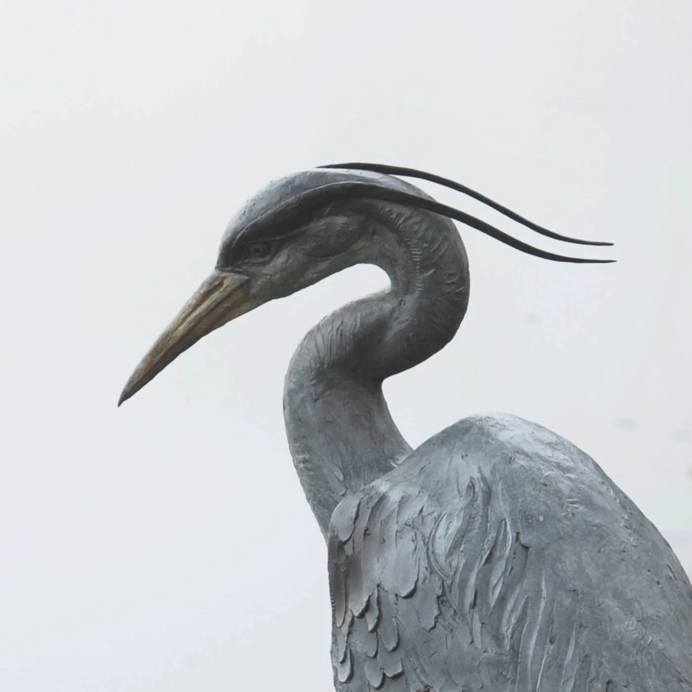 heron-04.jpg