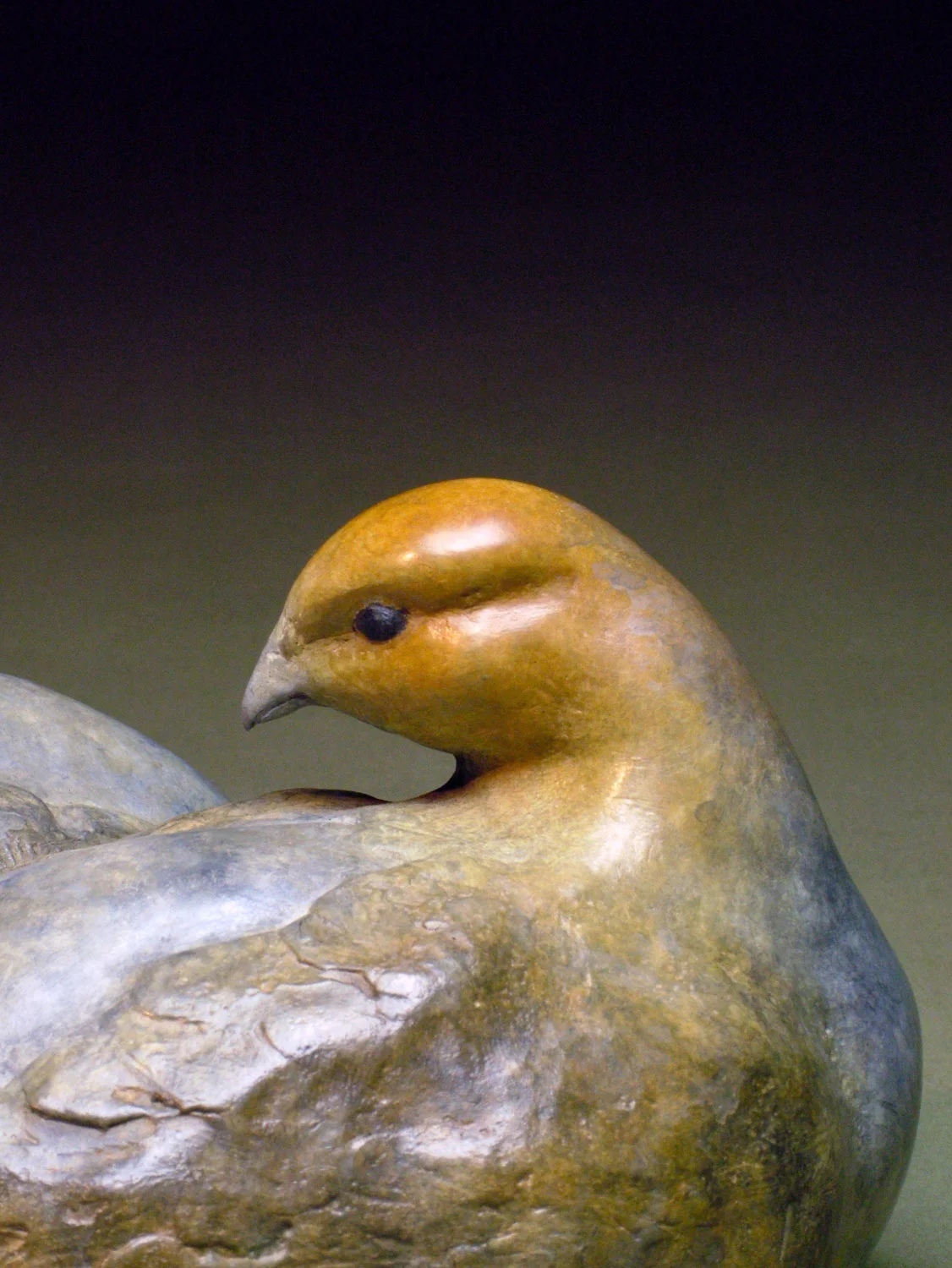 gillick-english-partridge-pair-bronze-sculpture-head-detail-web.jpg