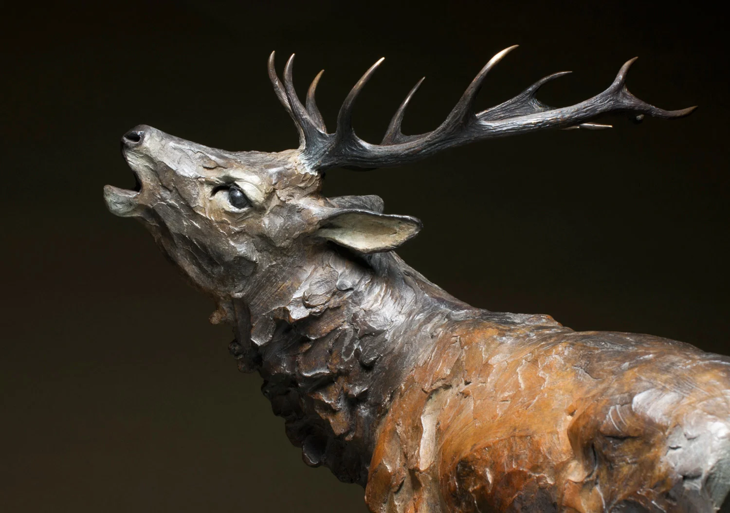 gillick-red-stag-challenge-roaring-bellowing-monarch-scottish-stag-head-web.jpg
