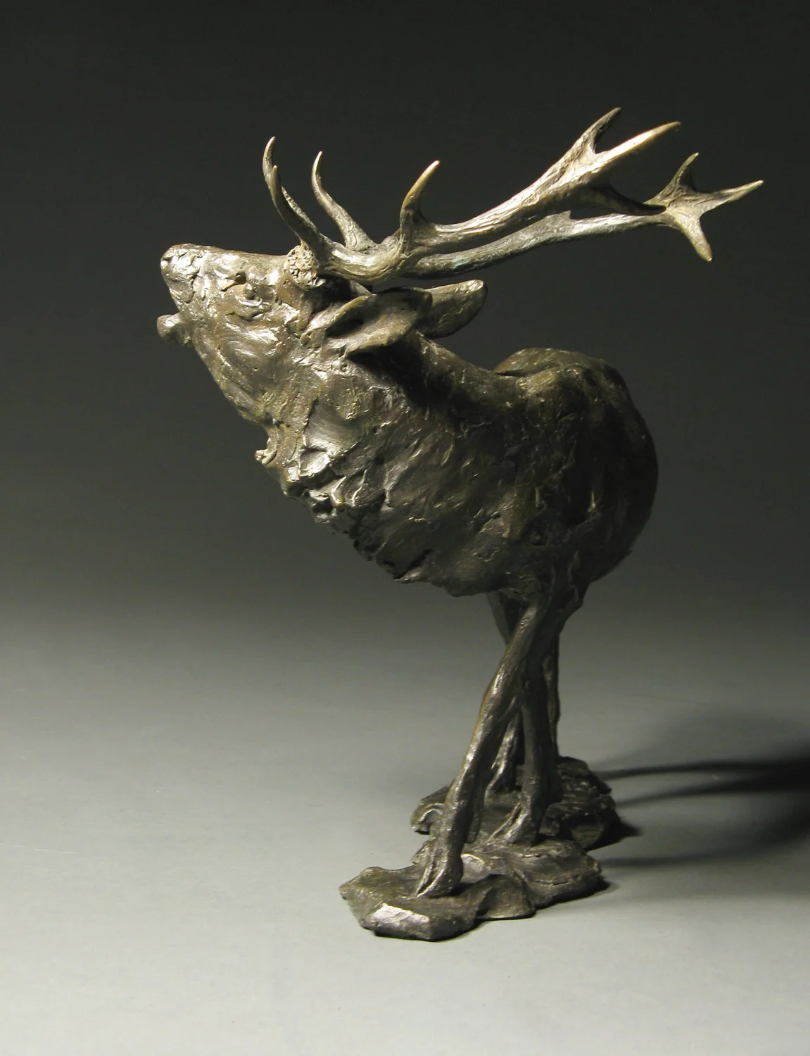 gillick-bellowing-roaring-stag-scottish-red-deer-stag-bronze-sculpture-back-web.jpg