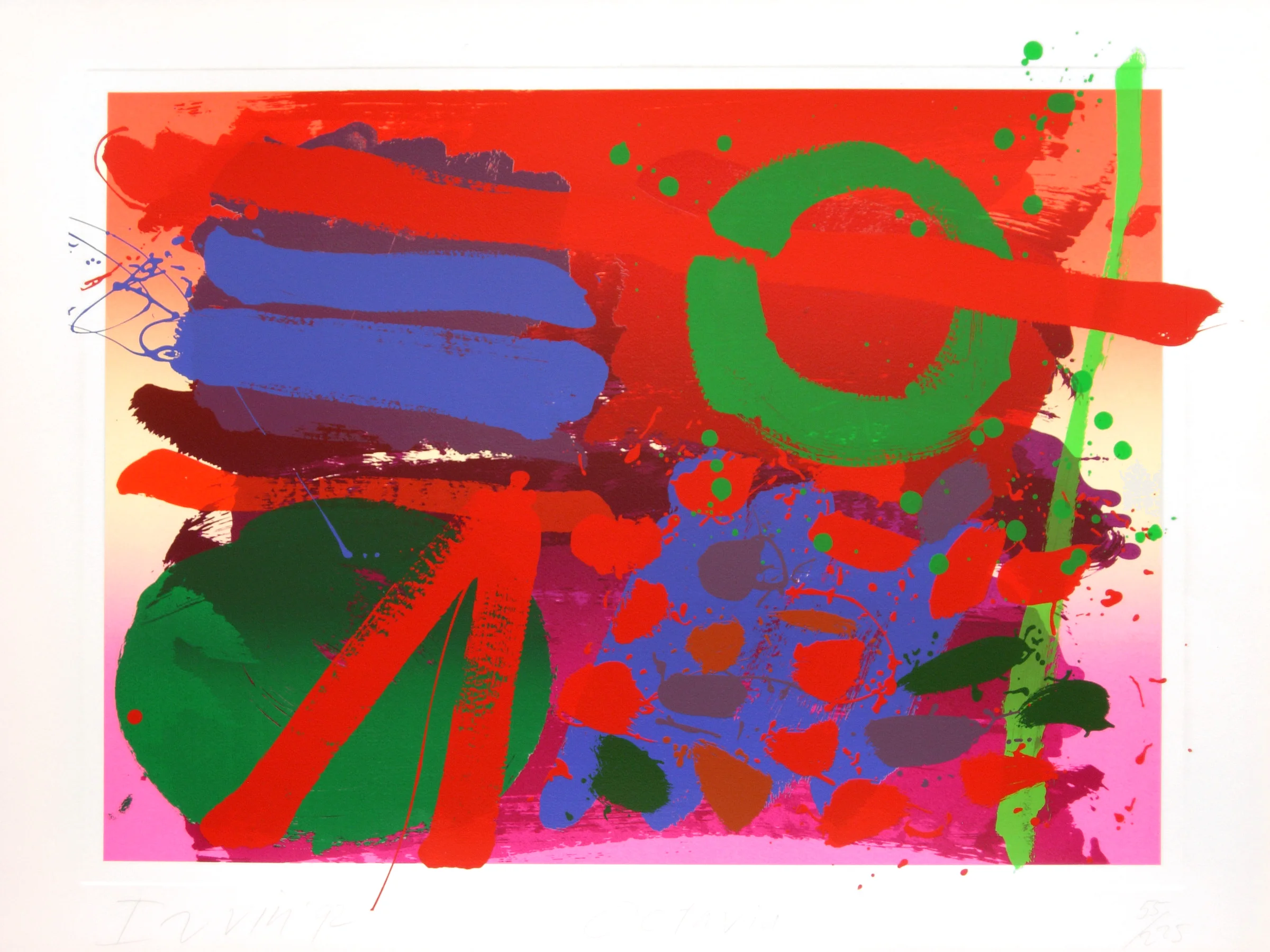 Octavia - 1992 / 55 x 75.50 cm / screenprint / Courtesy of Advanced Graphics London