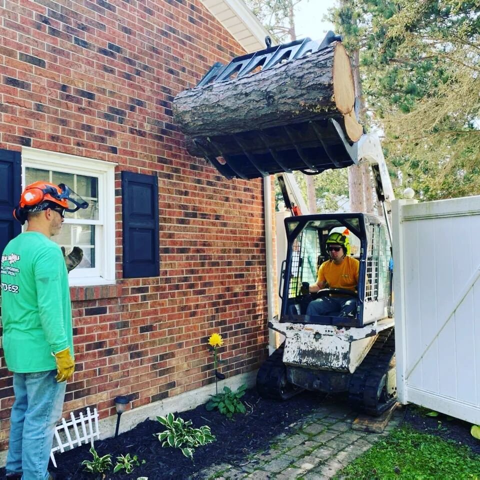 Making our clients happy is our priority! 

Getting the job done and doing it right no matter what! 👍

#36inchgate 
#wontstop 
#treeremoval 
#TreeworksWNY