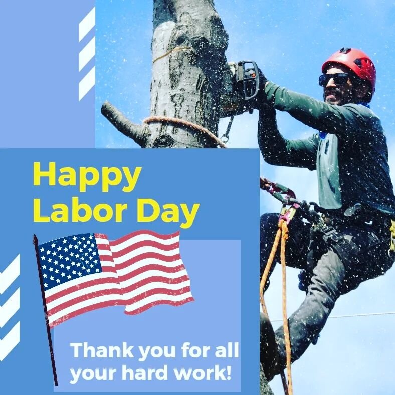 Let's celebrate our hard work! 🇺🇸🦅 

#happylaborday 
#hardwork 
#unitedstatesofamerica 
#treework