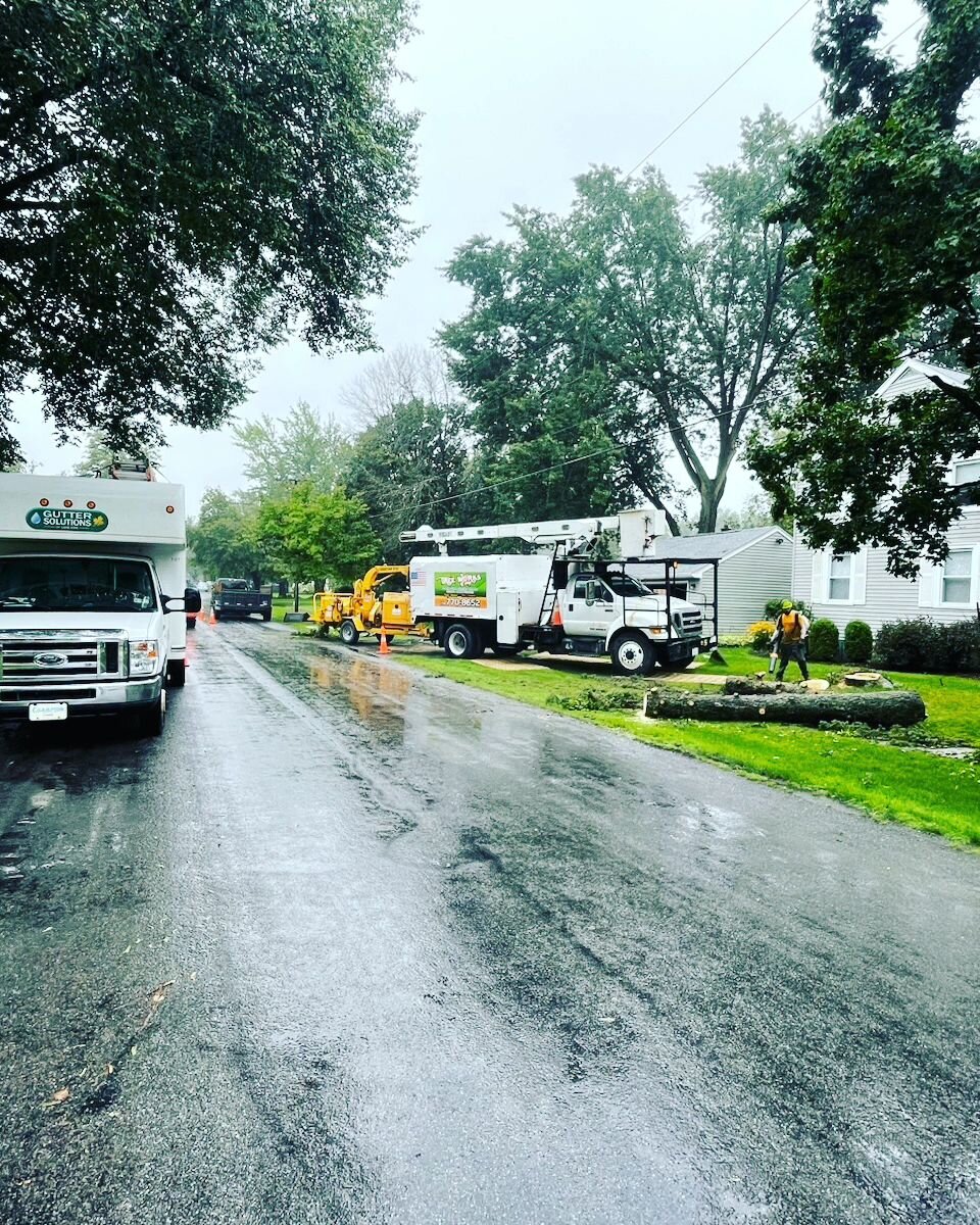 A little rain can't ✋️ us today! 🌧 🌳 

#treeremoval
#TreeworksWNY 
#villageofhamburg
