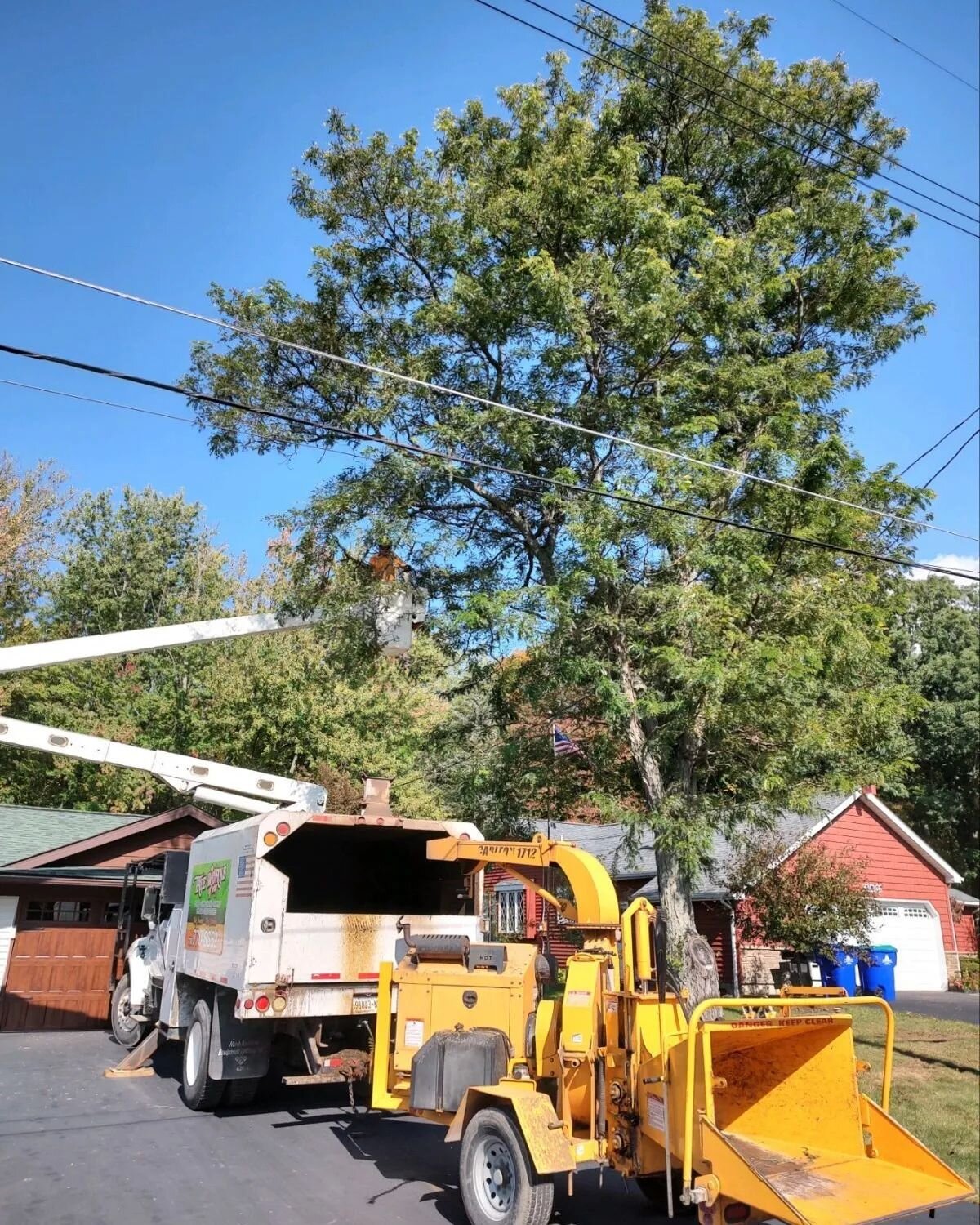 Removed a Locus 🌳 in-between power lines today 🪚

#locustree 
#powerlines 
#treework 
#stumpgrinding 
#cleanup