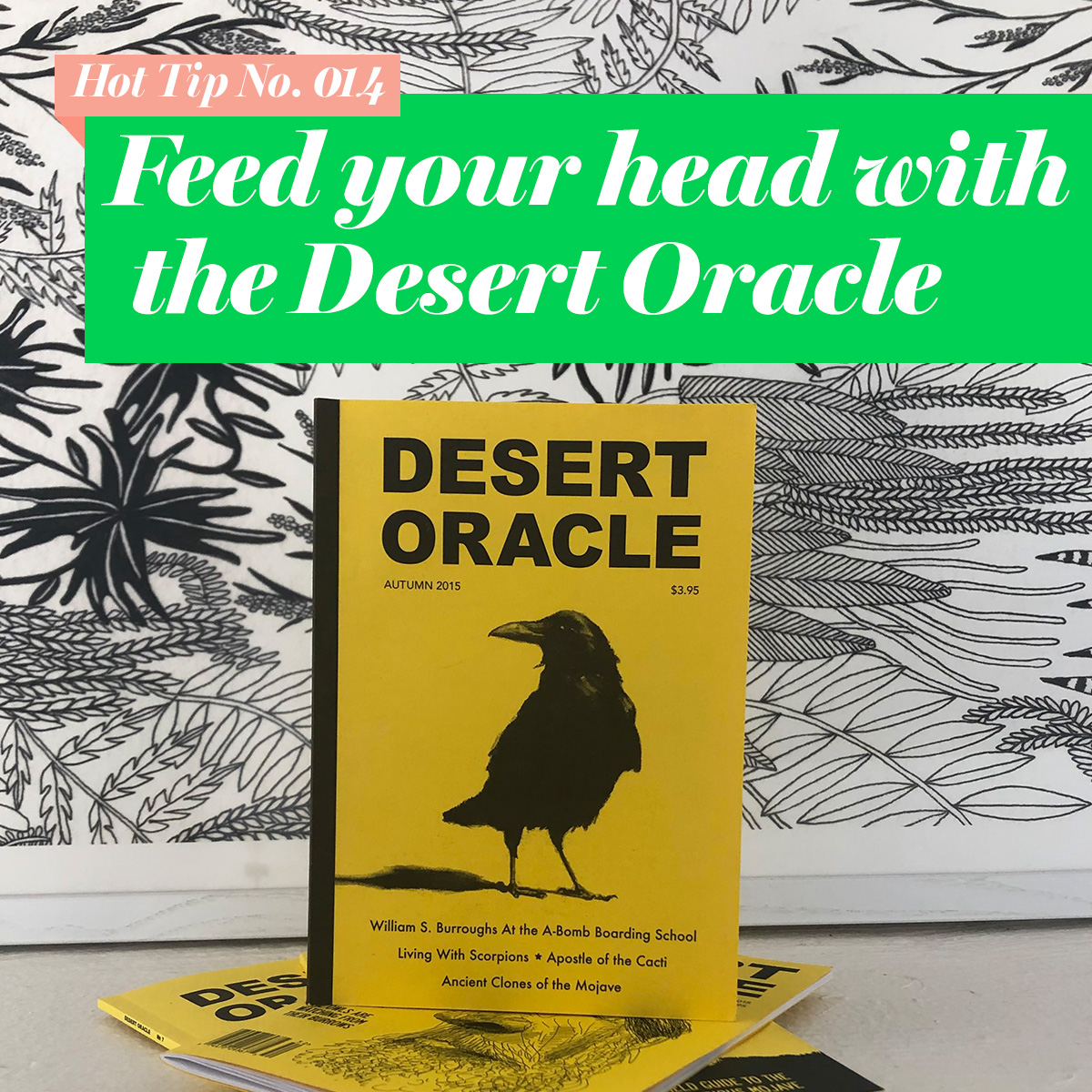 Feed your head with The Desert Oracle