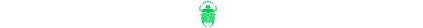 beetle.png