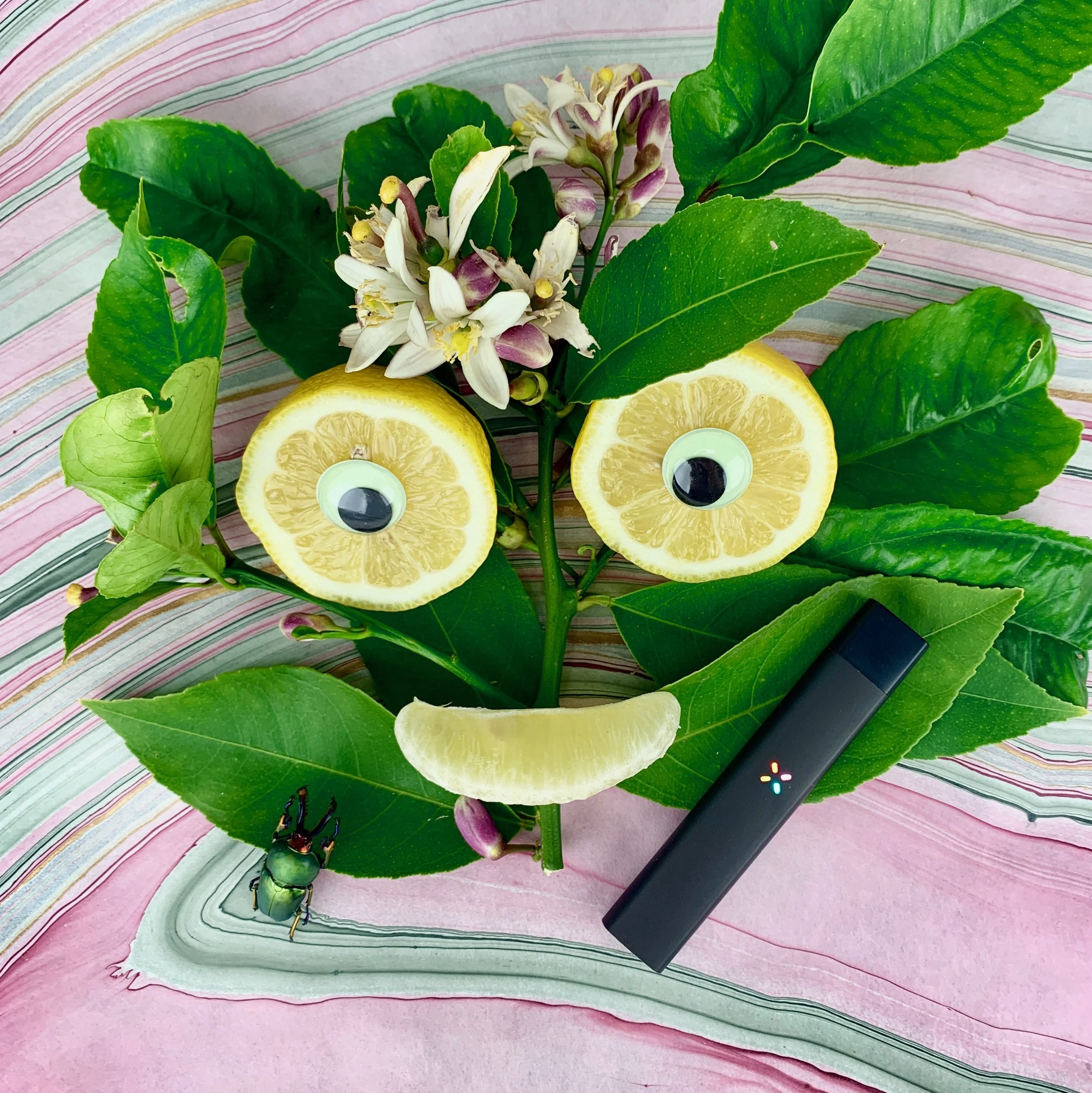 The Pax Era with a Legion of Bloom Nina Limone pod.