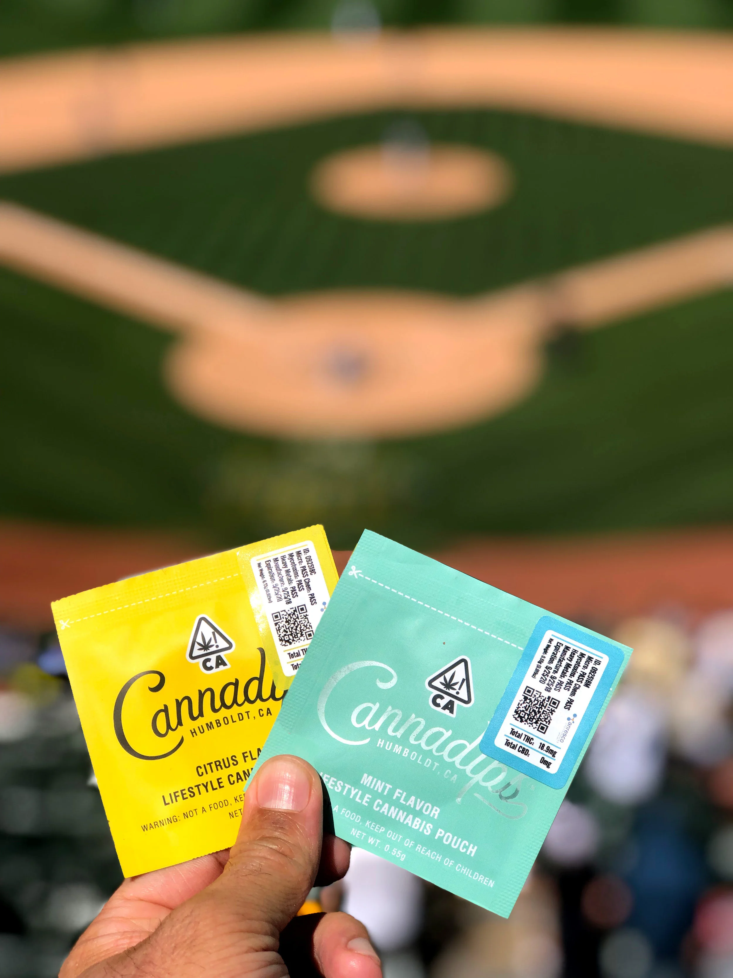 Stuff your maw with Cannadips cannabis pouches