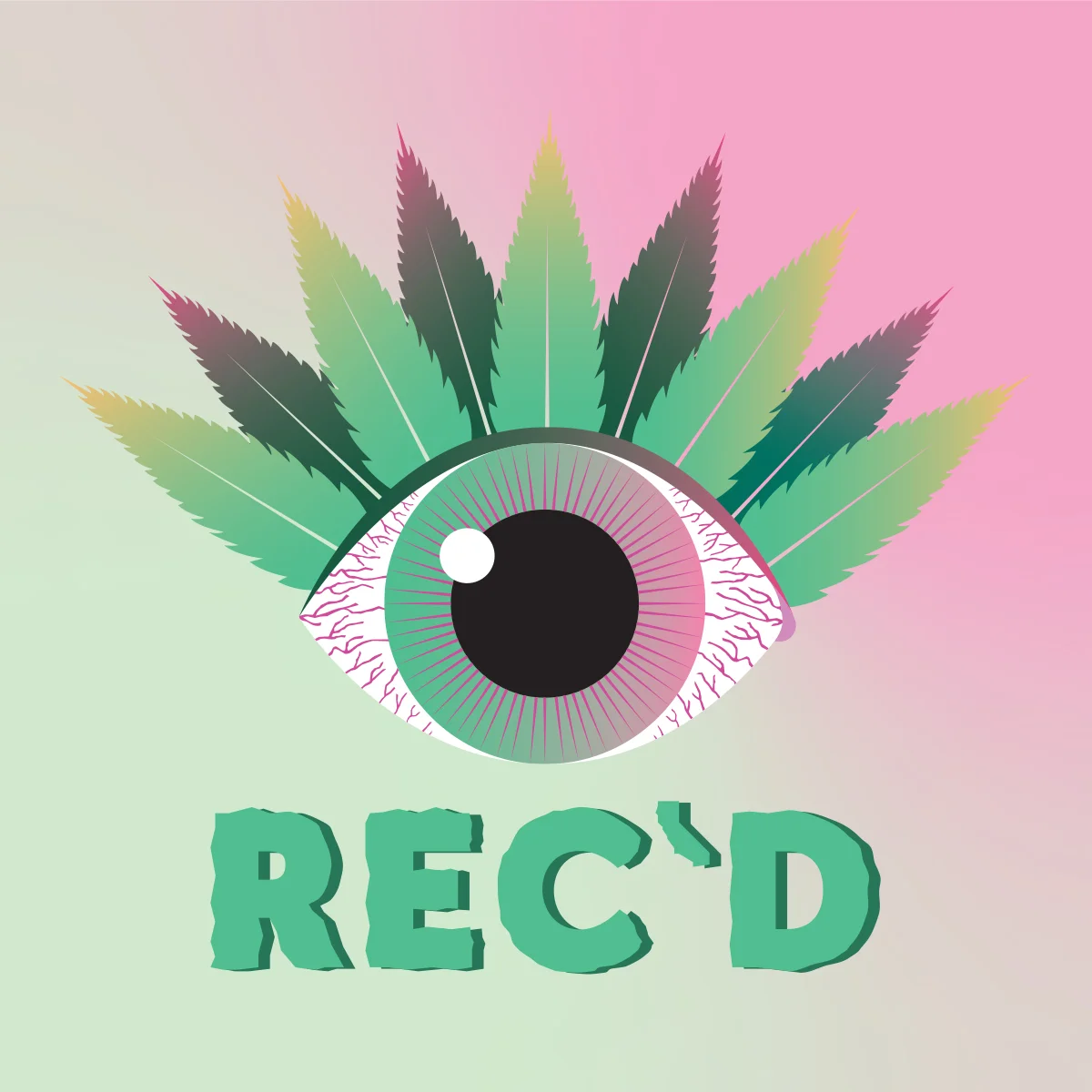 Recd_teaser_IG.jpg