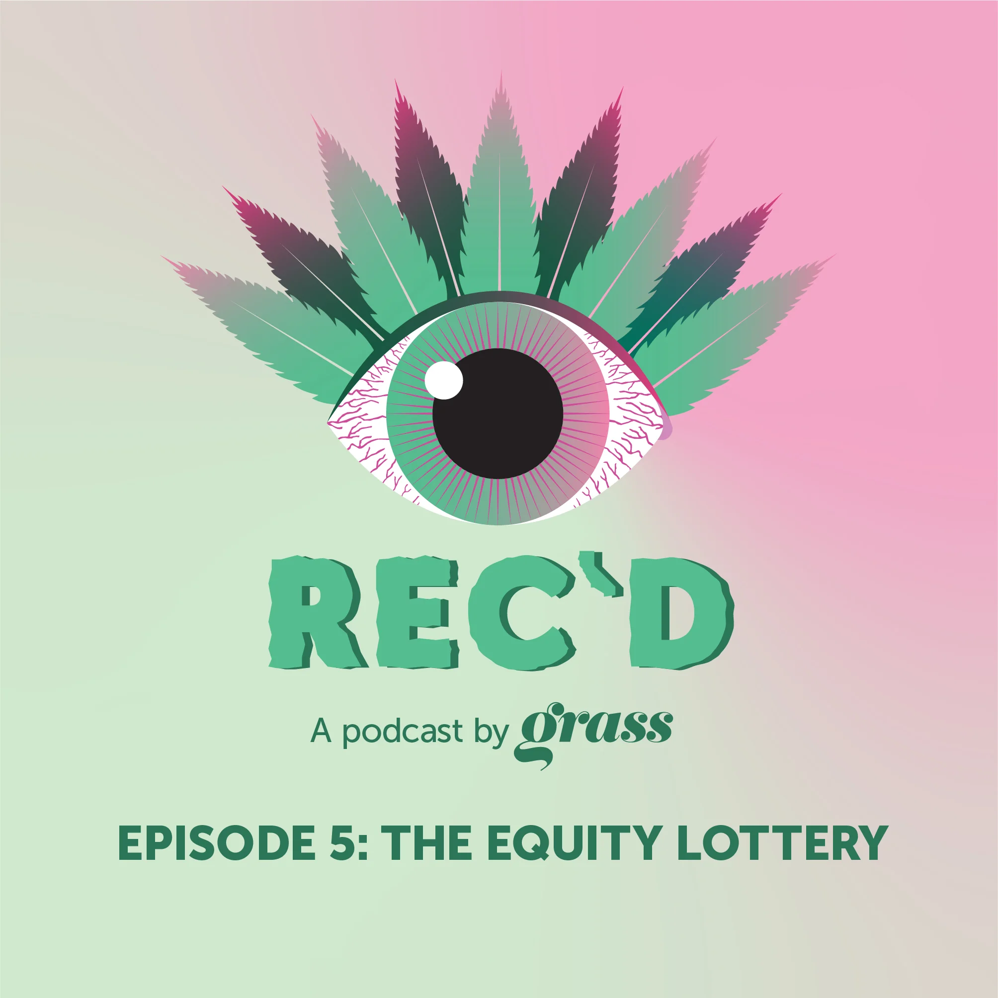 Rec'd Episode 5: The equity lottery