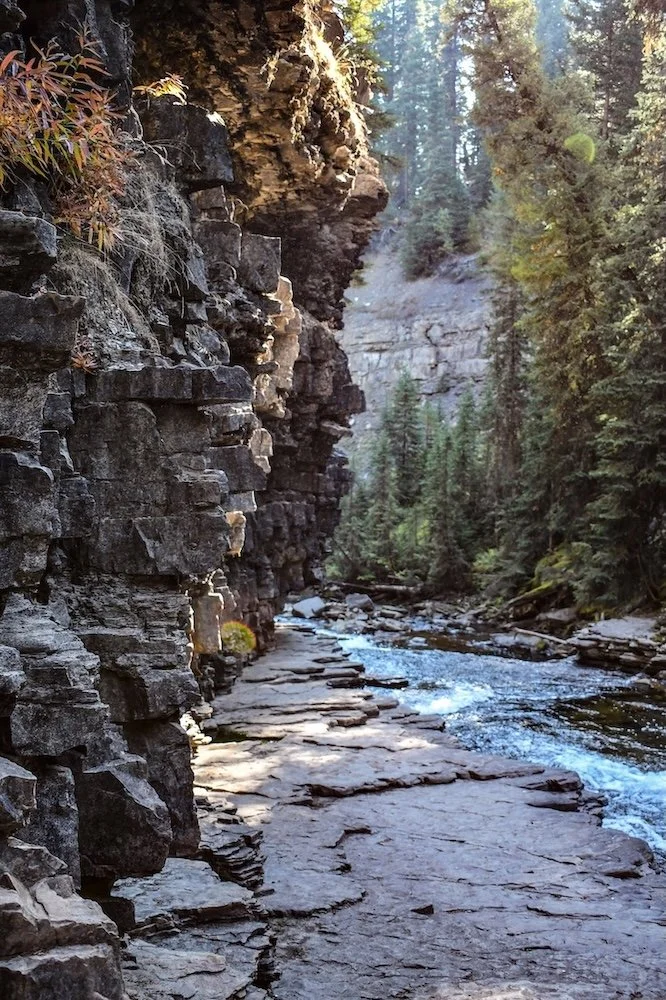 A narrow rocky trail alongside a flowing mountain stream, with tall trees and cliffs in a forested canyon.