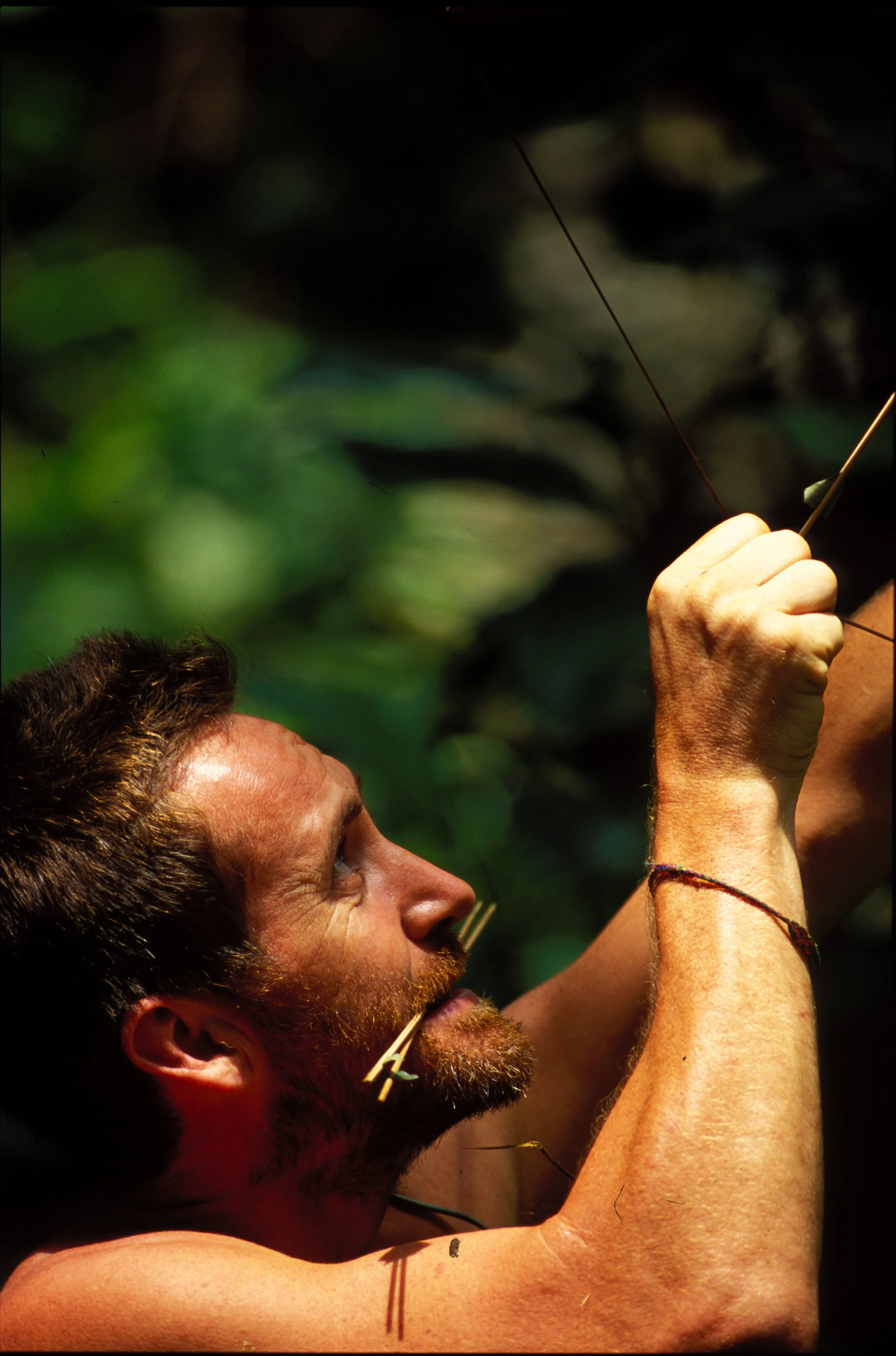 Tiny bow and arrows, strong poison. This little cupids bow was used for gorillas. You had about five minutes to run and hide before your quarry was done for
