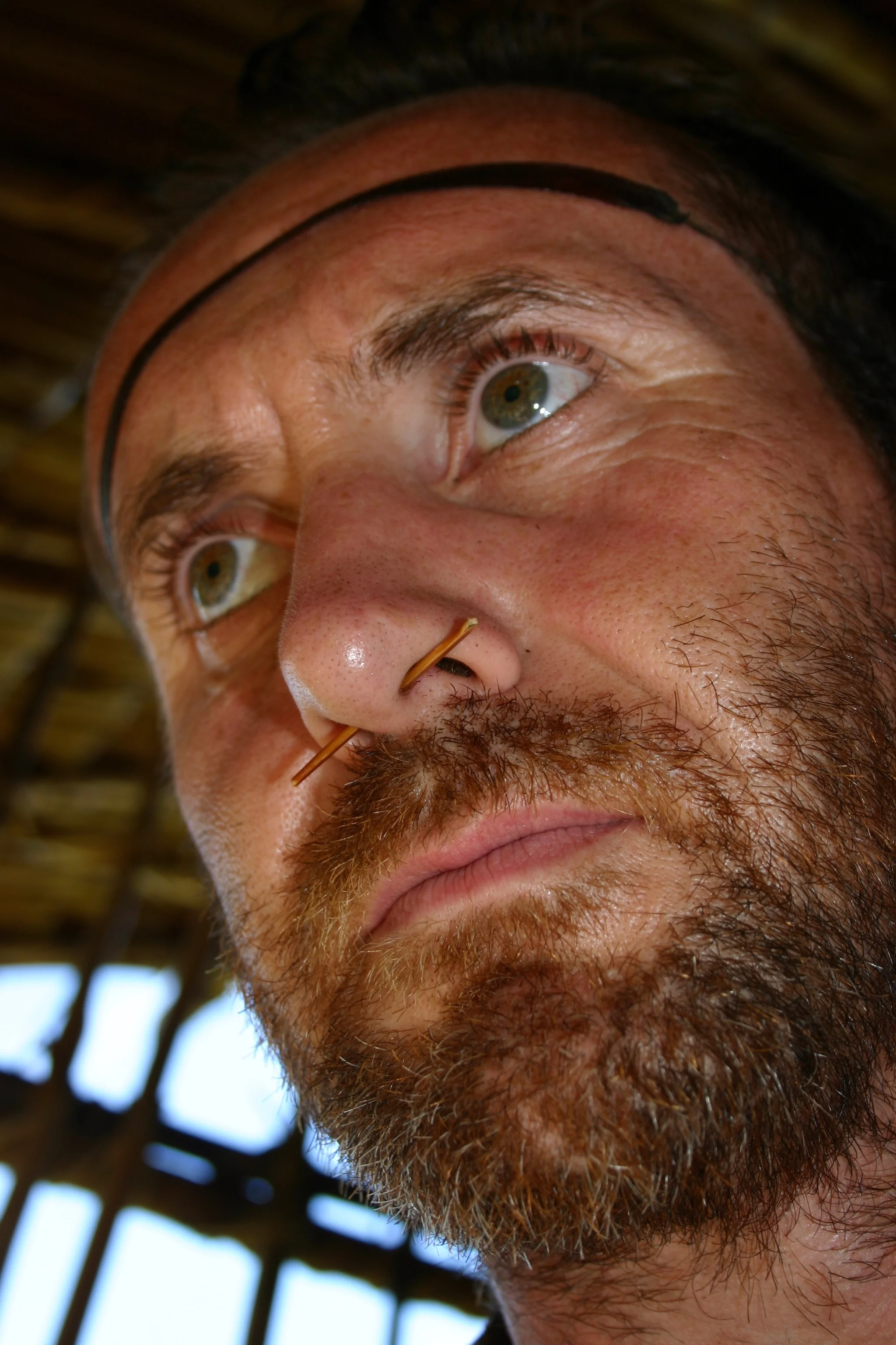 bloody hurts having a sago thorn stuck through your septum