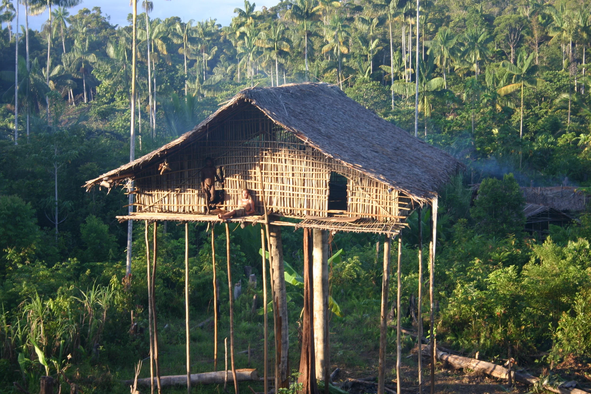 Living up high to hide from mosquitoes and headhunters - in that order