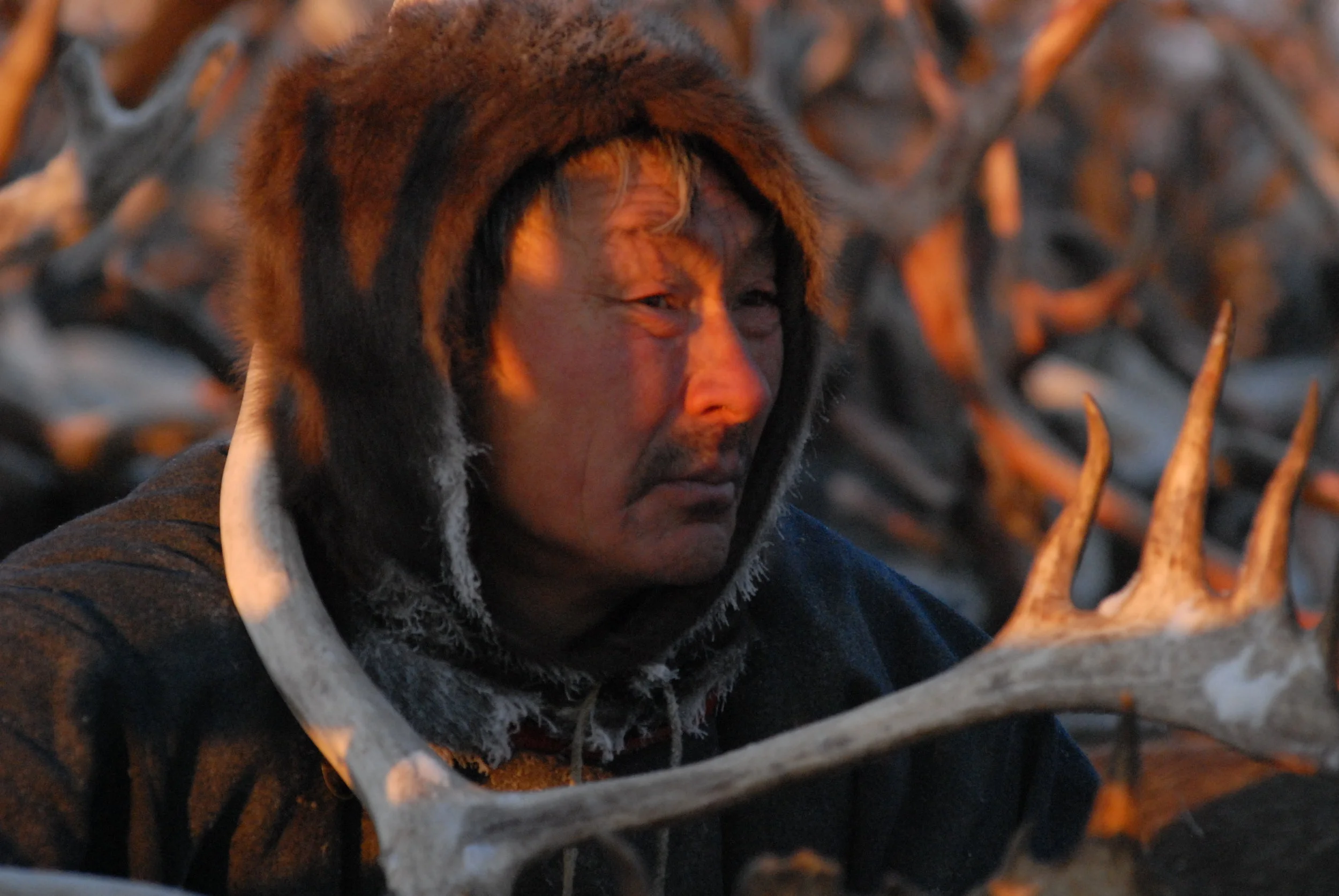 The light up north needs to be seen to be believed