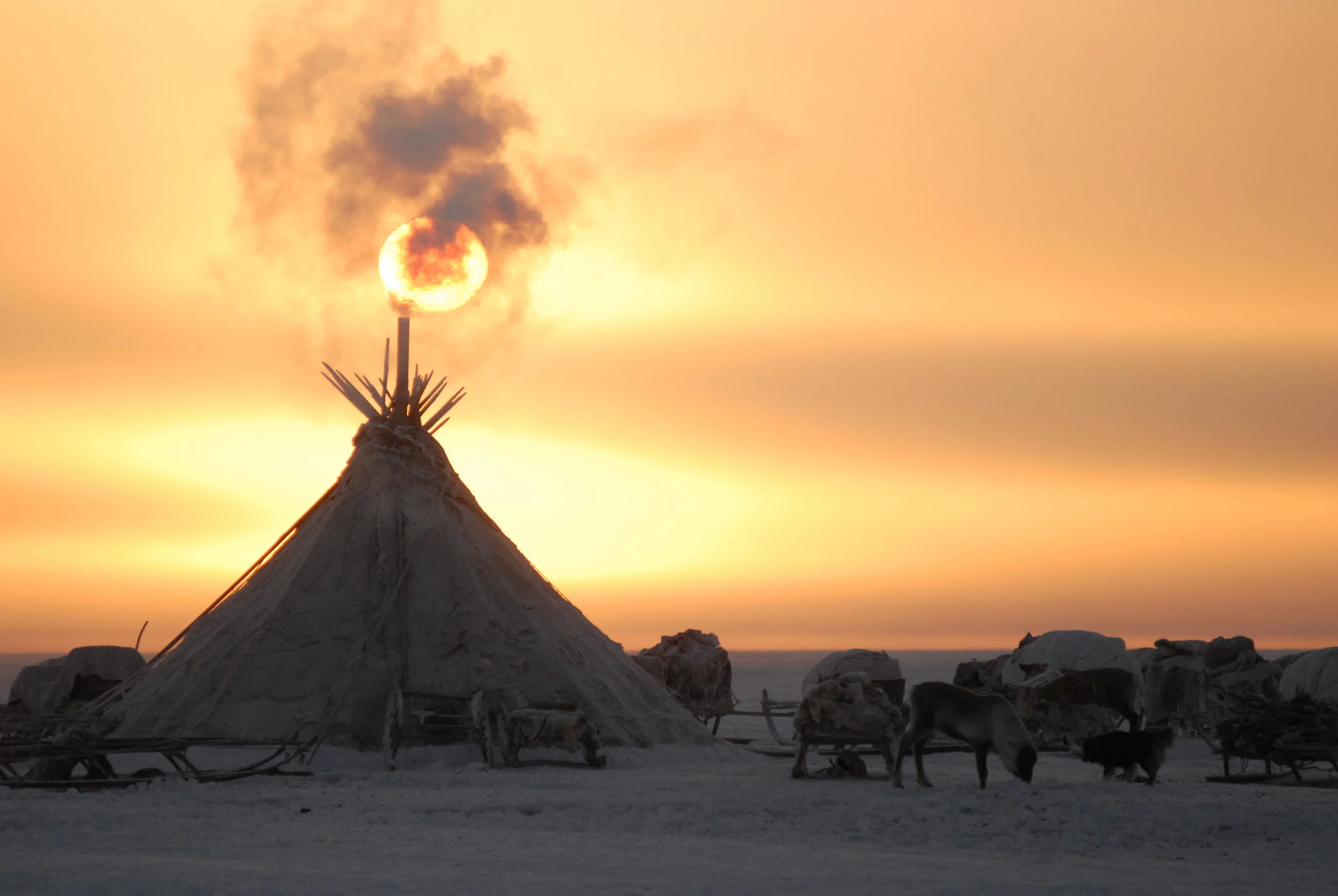 A reindeer-hide tent at sunset on the tundra, with sledges and reindeer around it