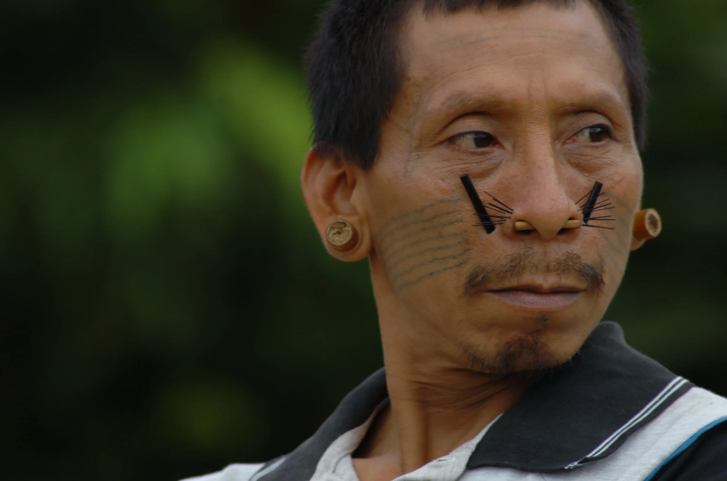 The Matis people of the Javai Valley in the Amazon were also known as the Jaguar People. You can see why.